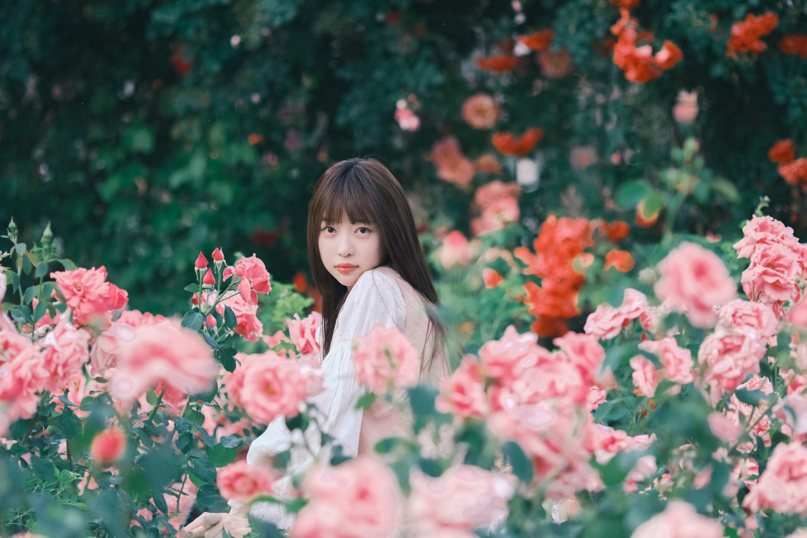 不止玫瑰有爱意 Sweet_t田甜