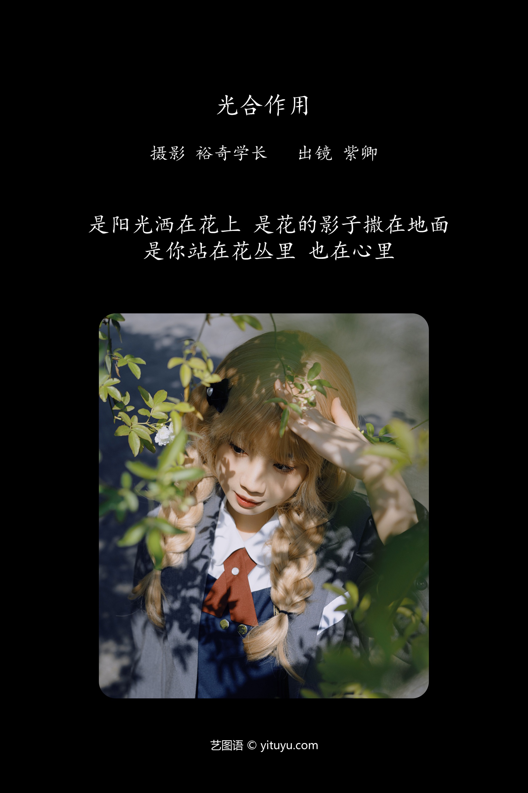 光合作用 紫卿
