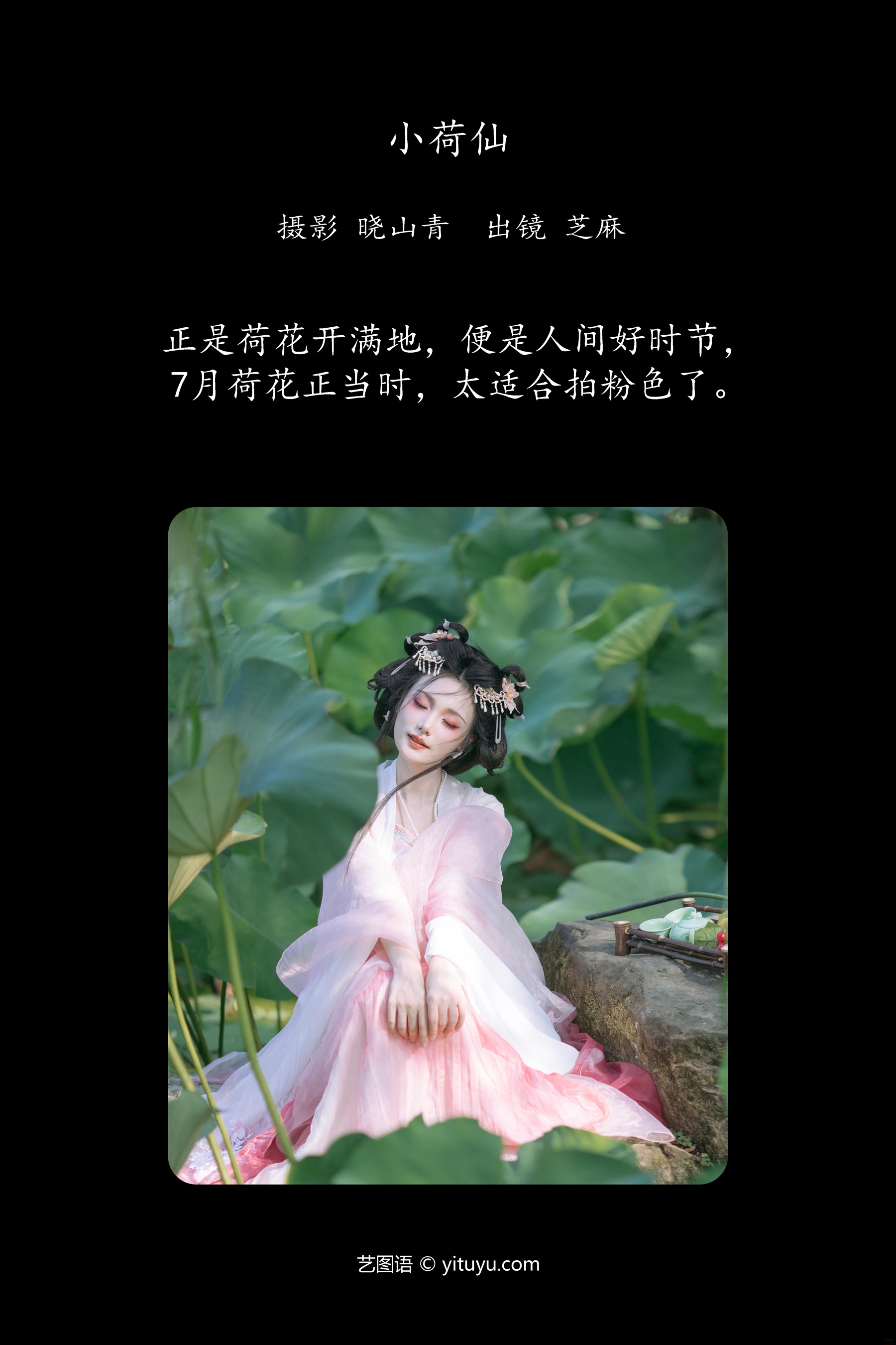 小荷仙 一枝沐瑶瑶