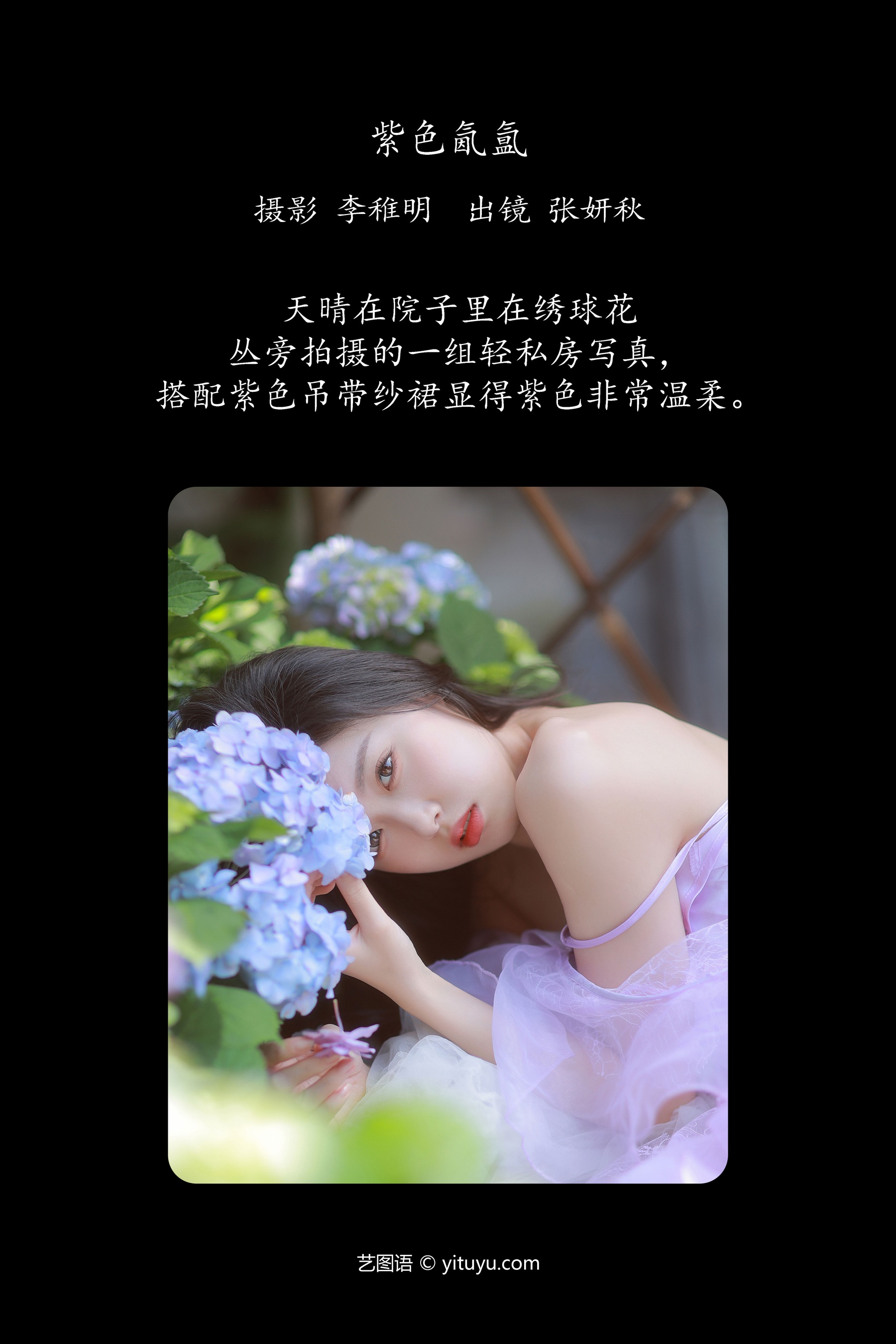 紫色氤氲 张妍秋
