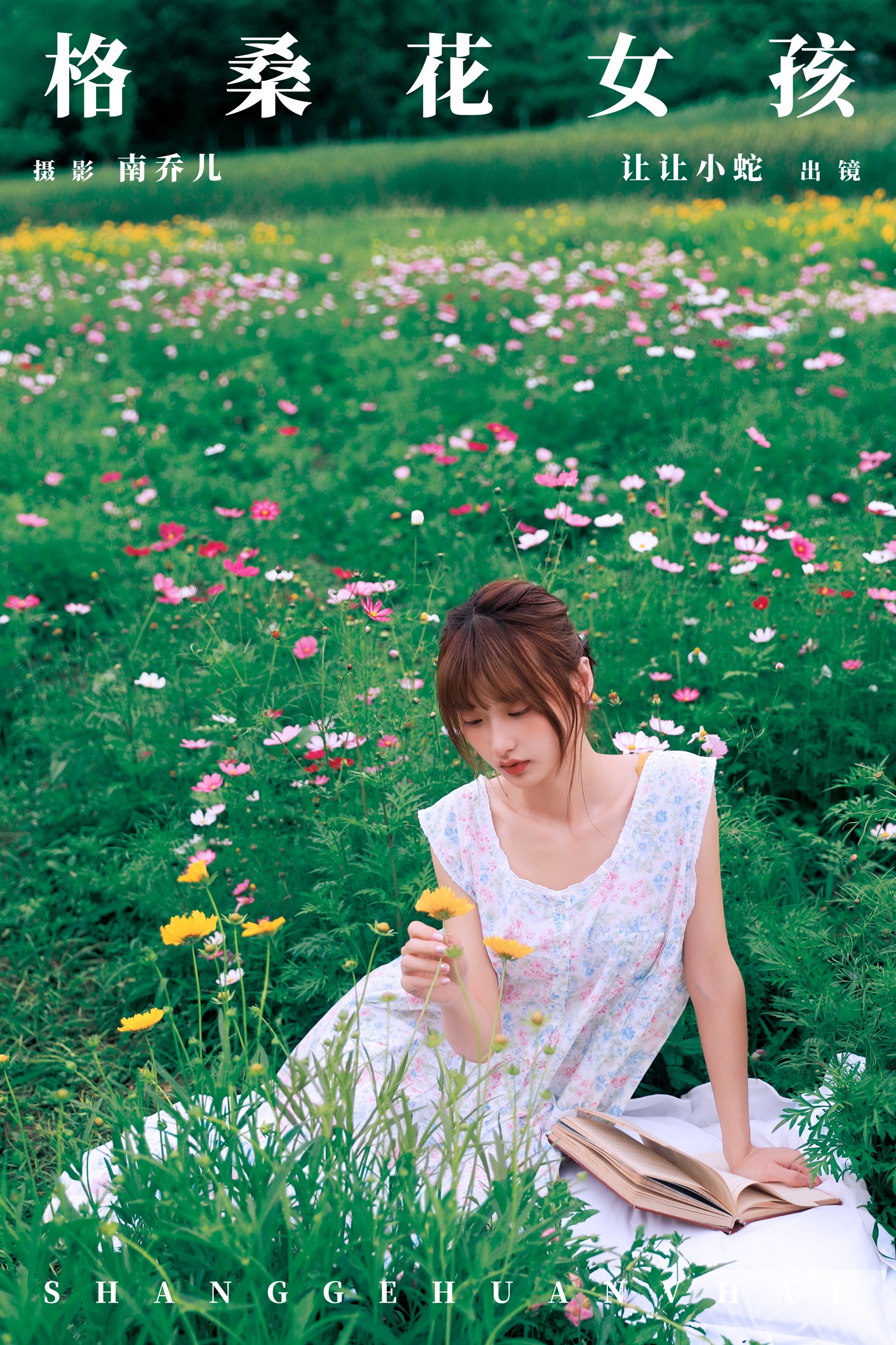格桑花女孩 陈年小九