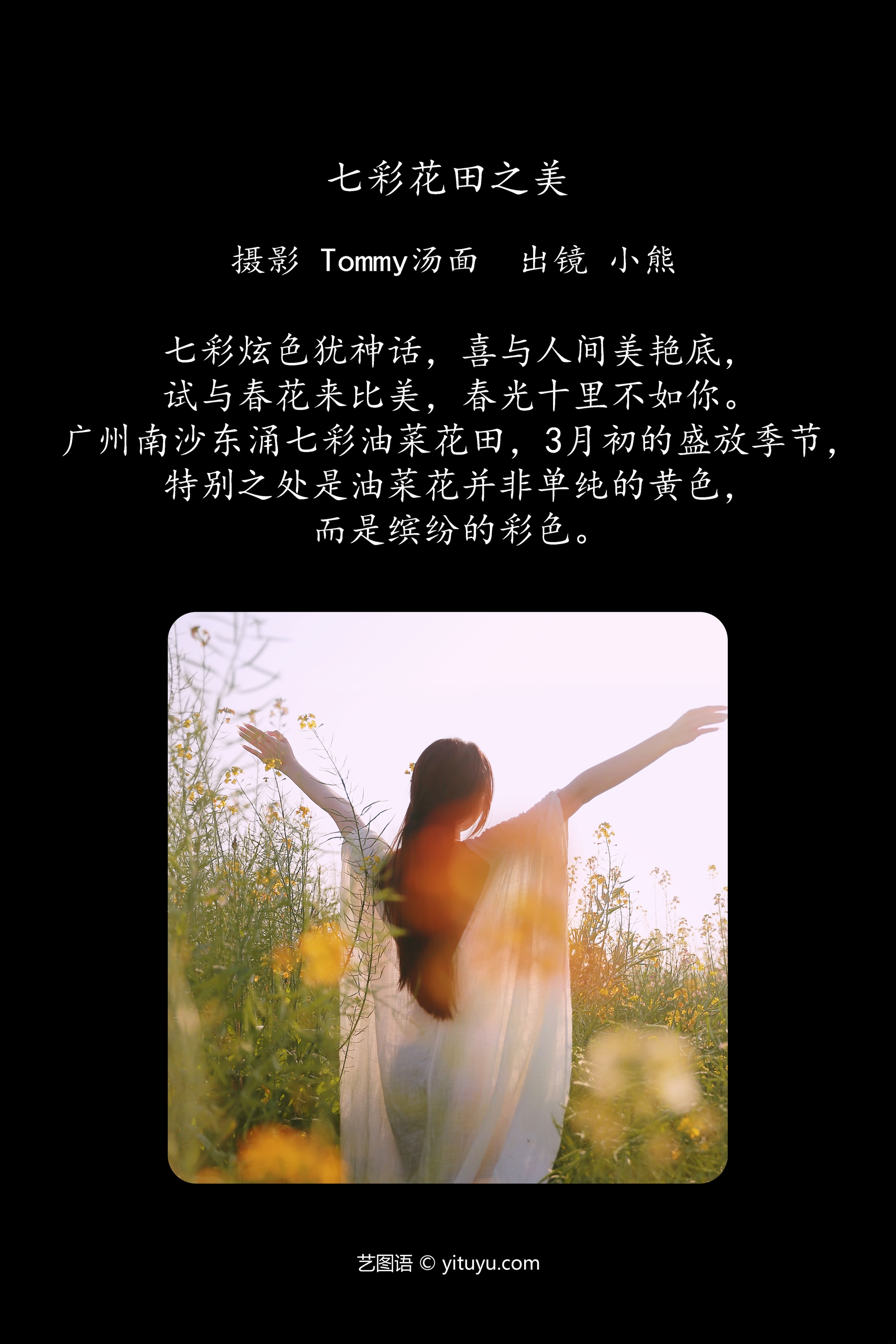 七彩花田之美 小熊