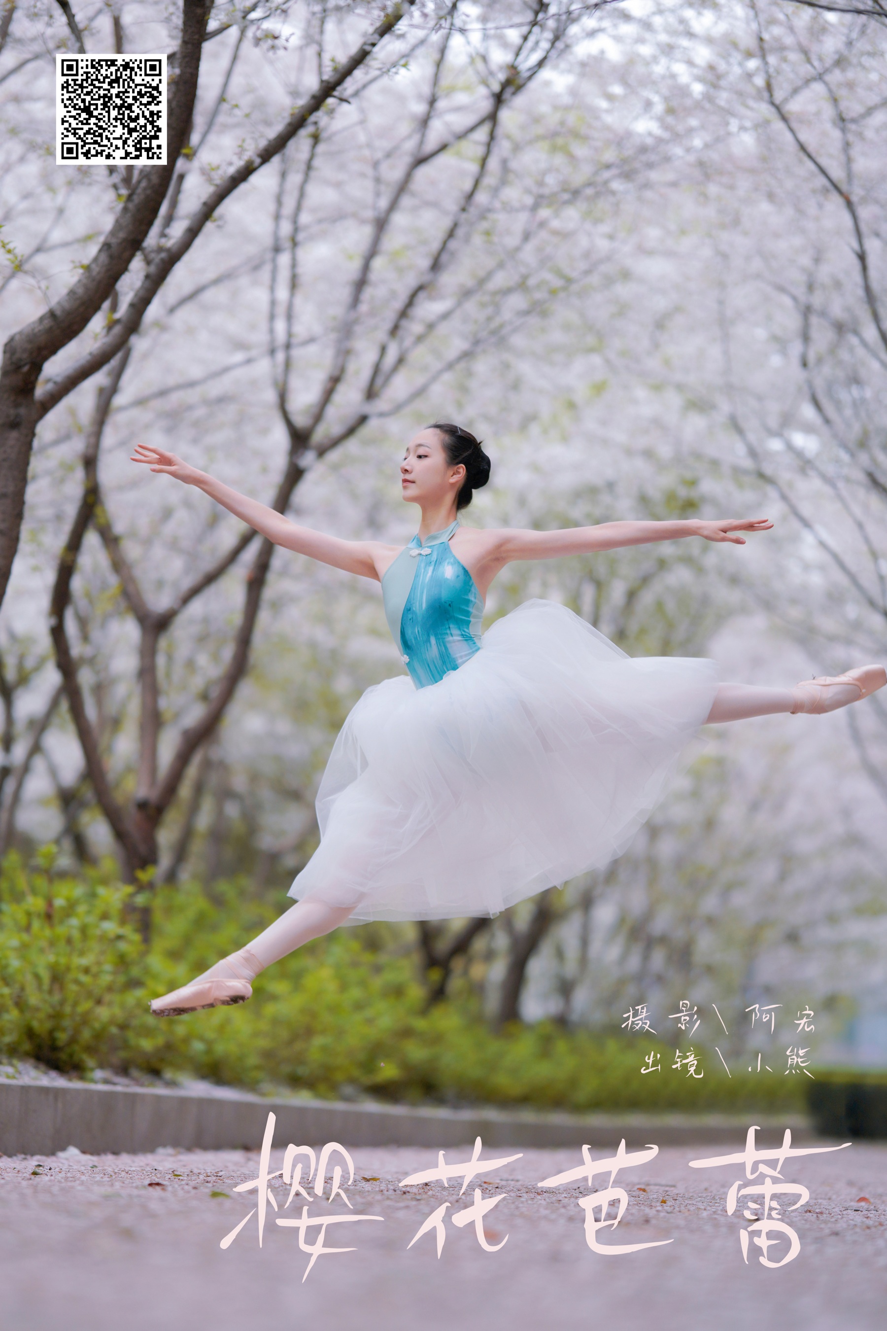 樱花芭蕾 小熊