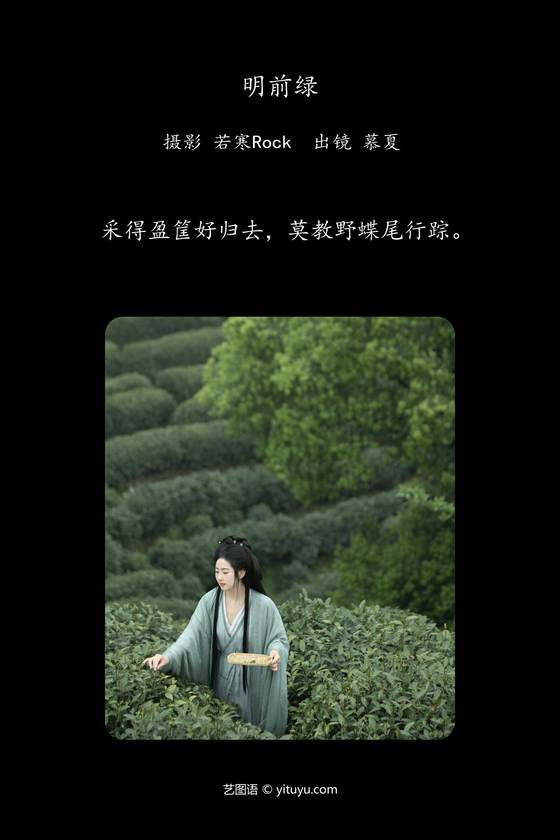 明前绿 慕夏