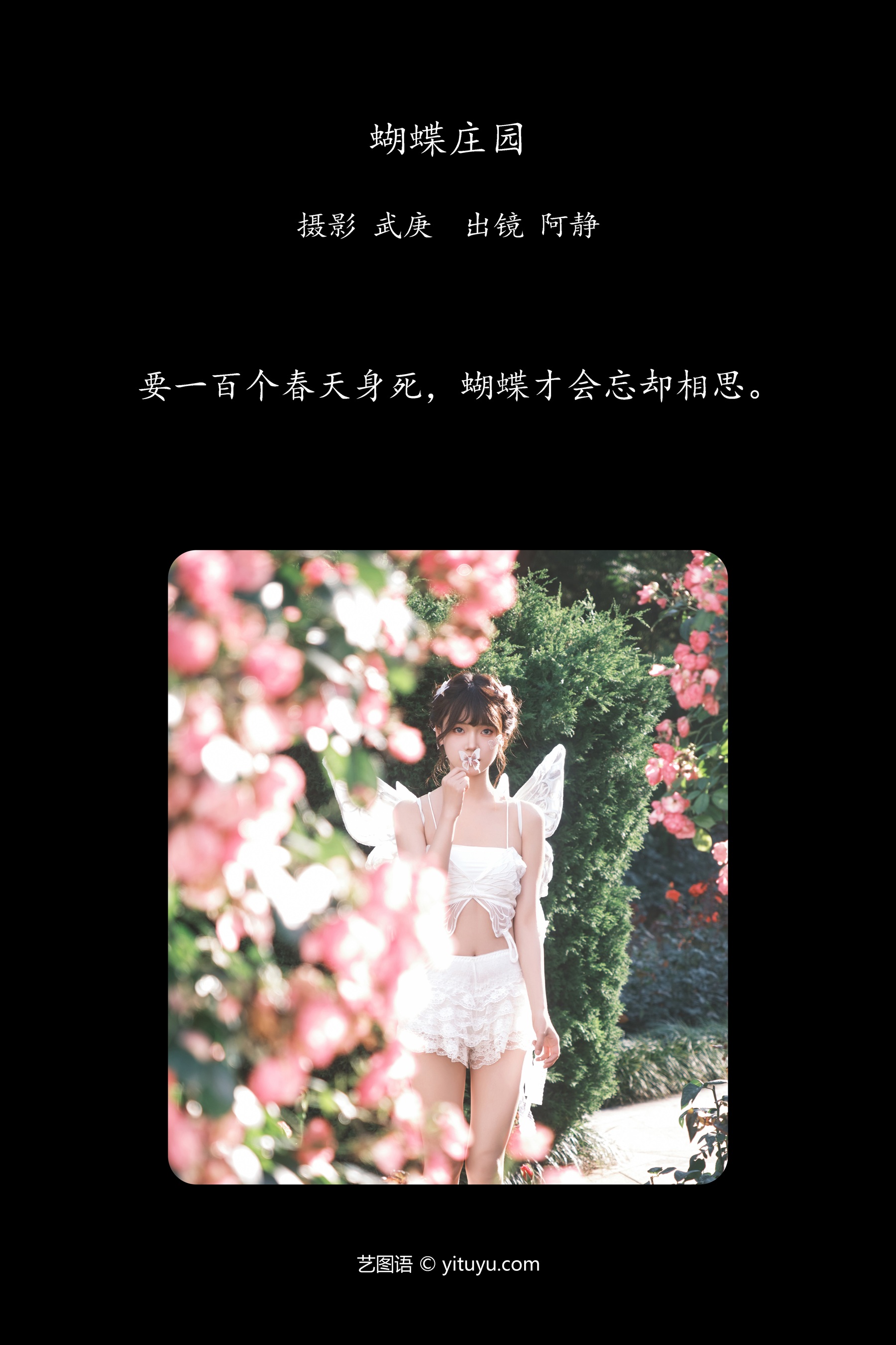 蝴蝶庄园 阿静