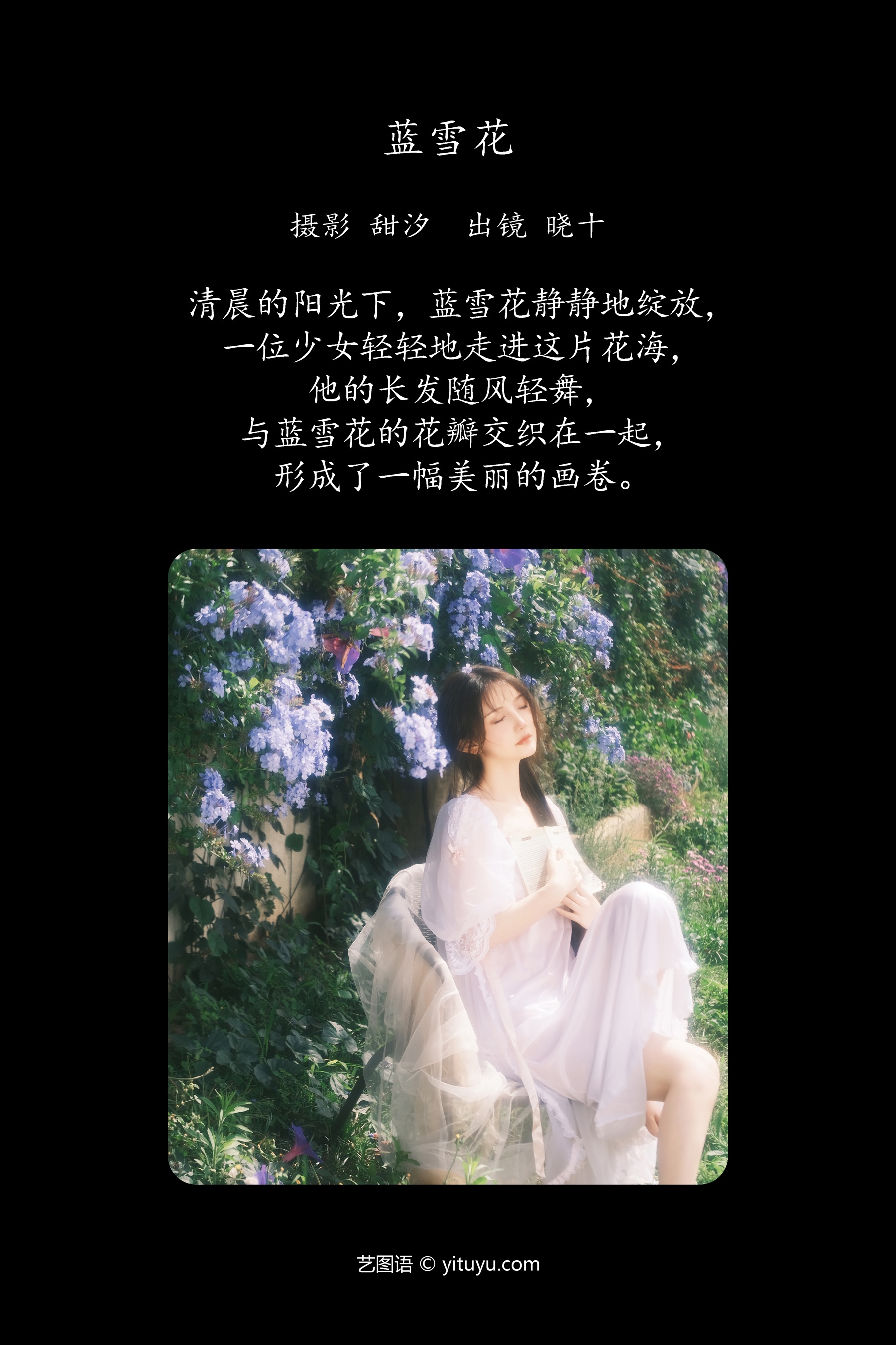 蓝雪花 爱拍照的晓十