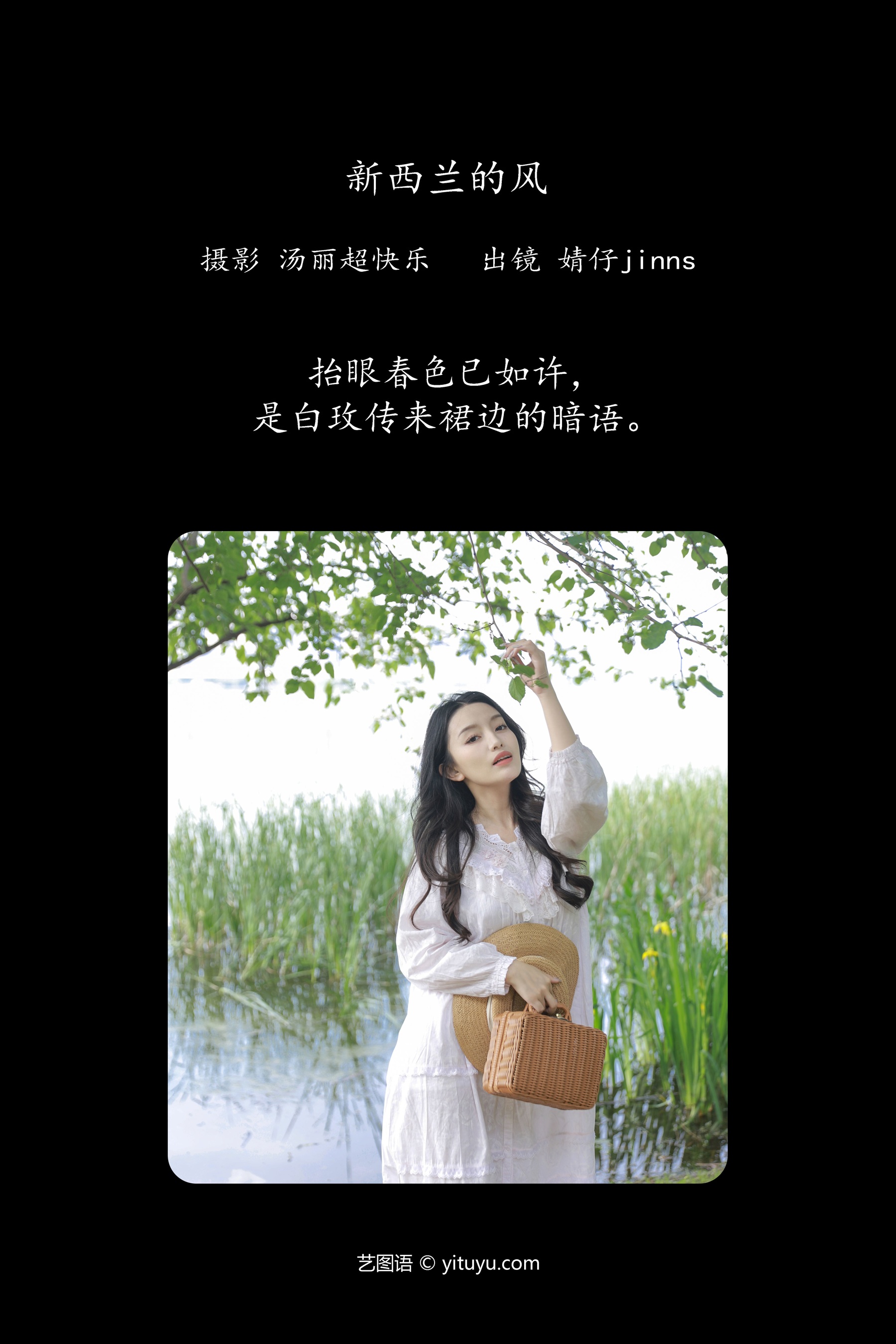 新西兰的风 婧仔jinns