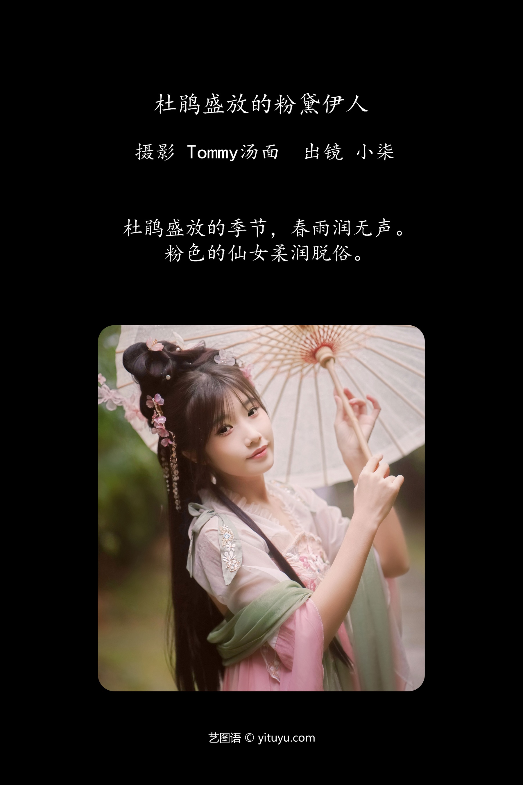 杜鹃盛放的粉黛伊人 小柒