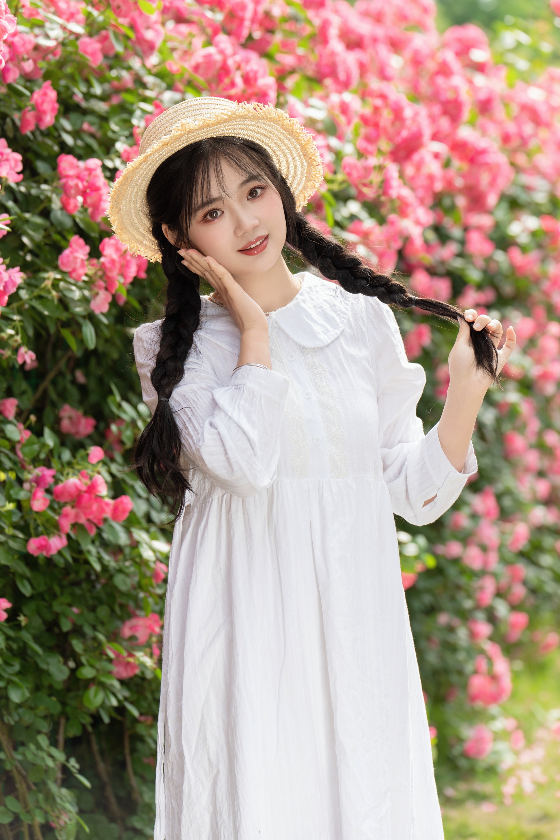 五月蔷薇 小欧O