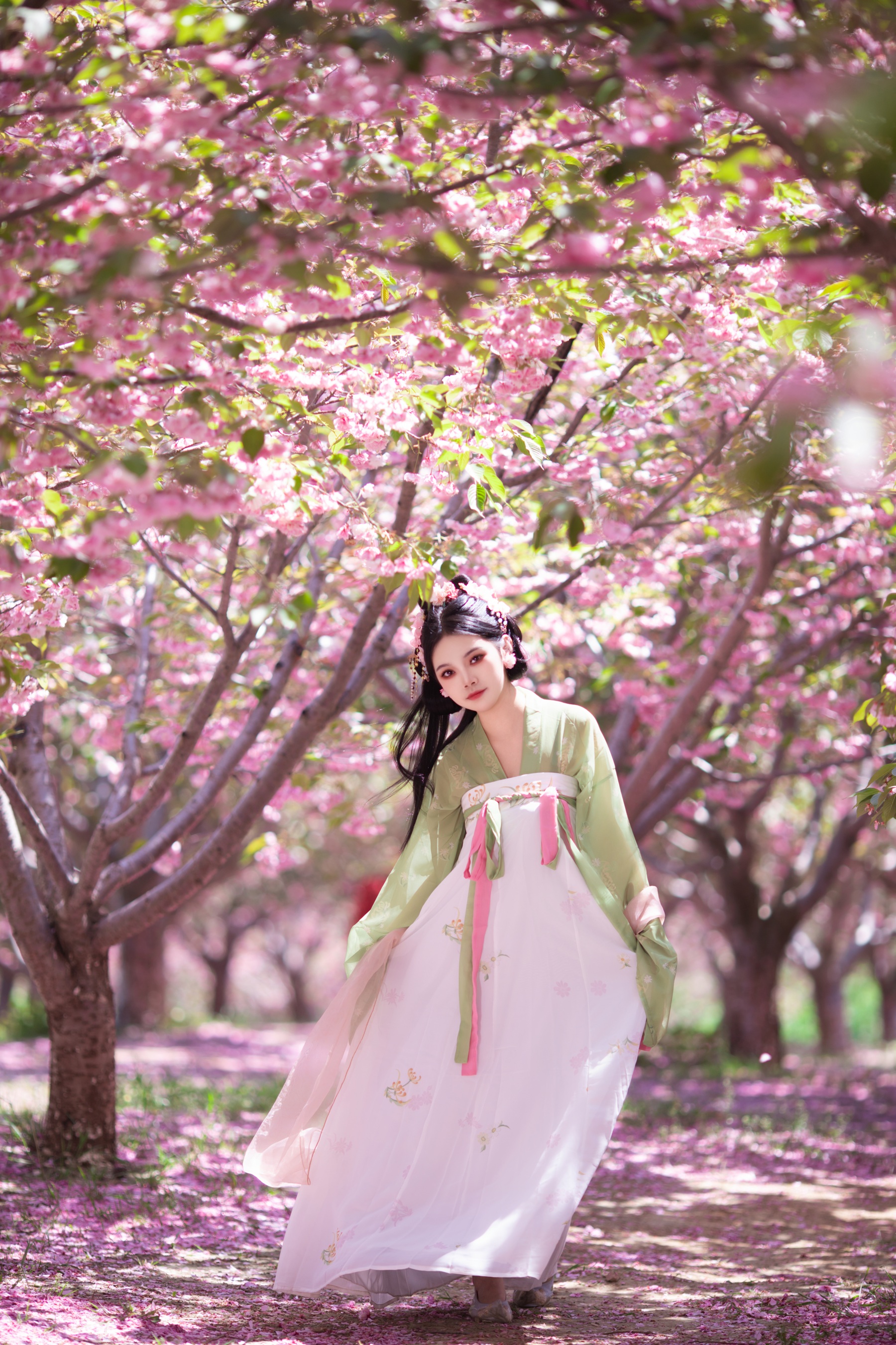 落樱 婉仪