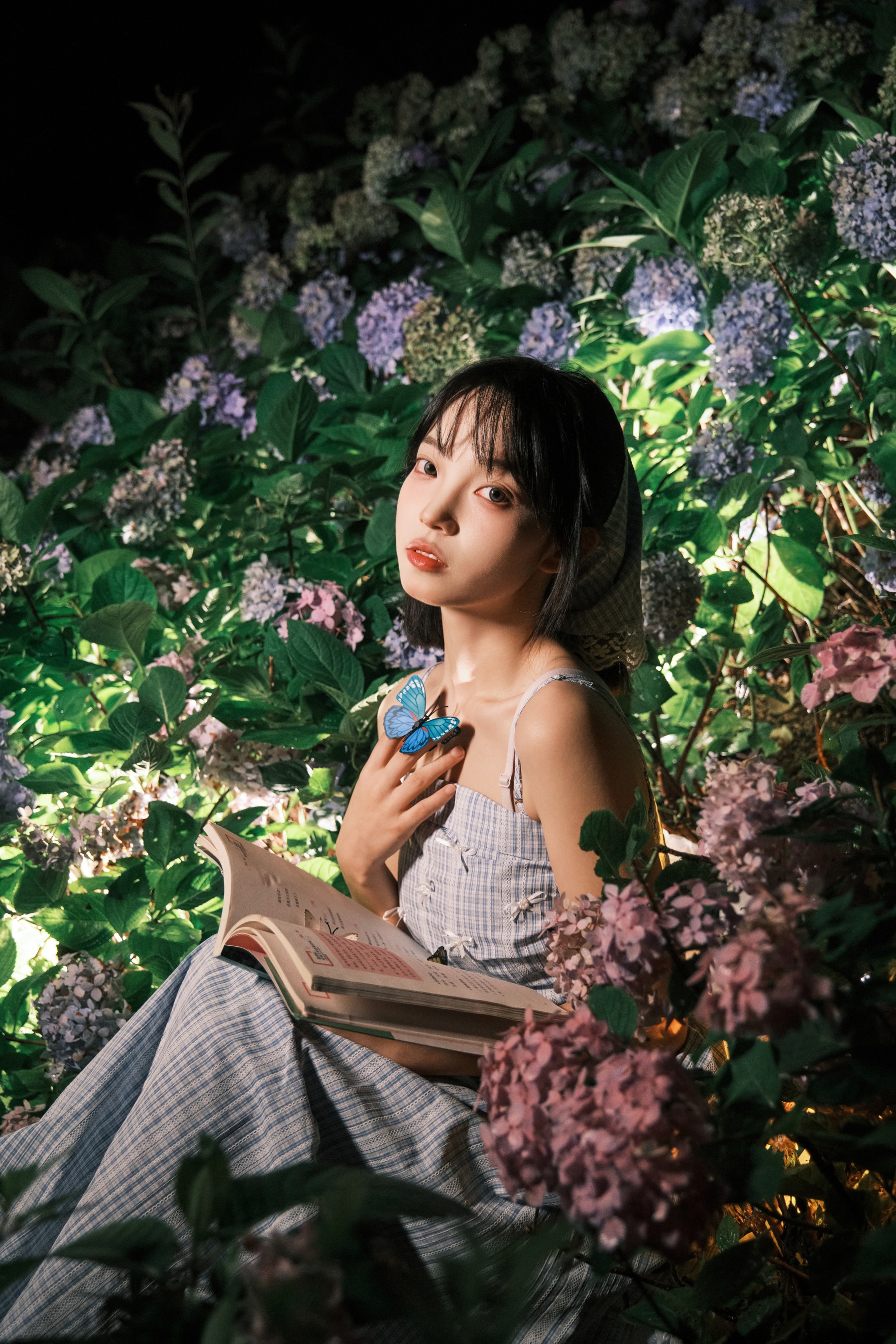 夜拍绣球 久菜盒子