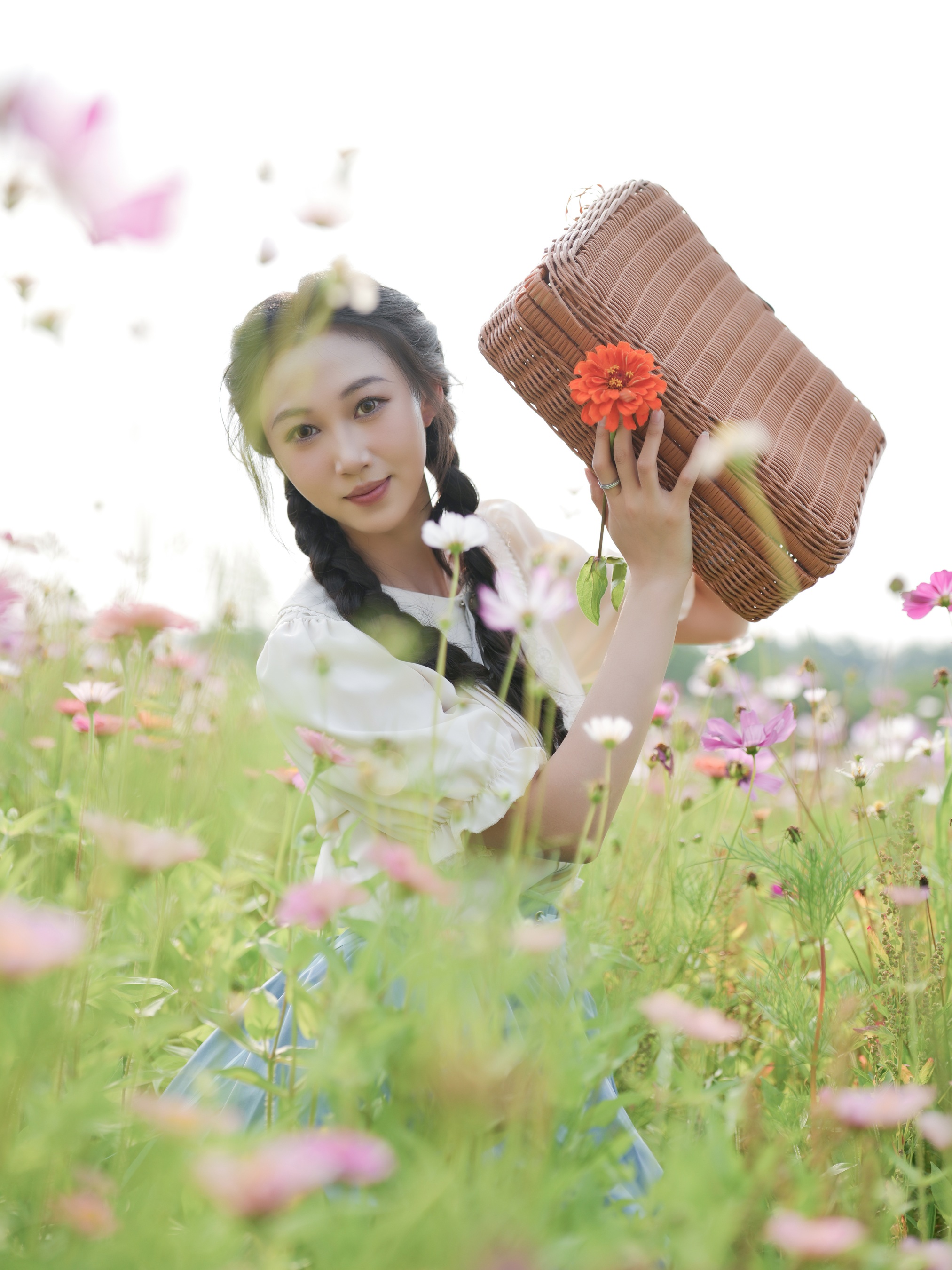 花海浪漫 小智小智