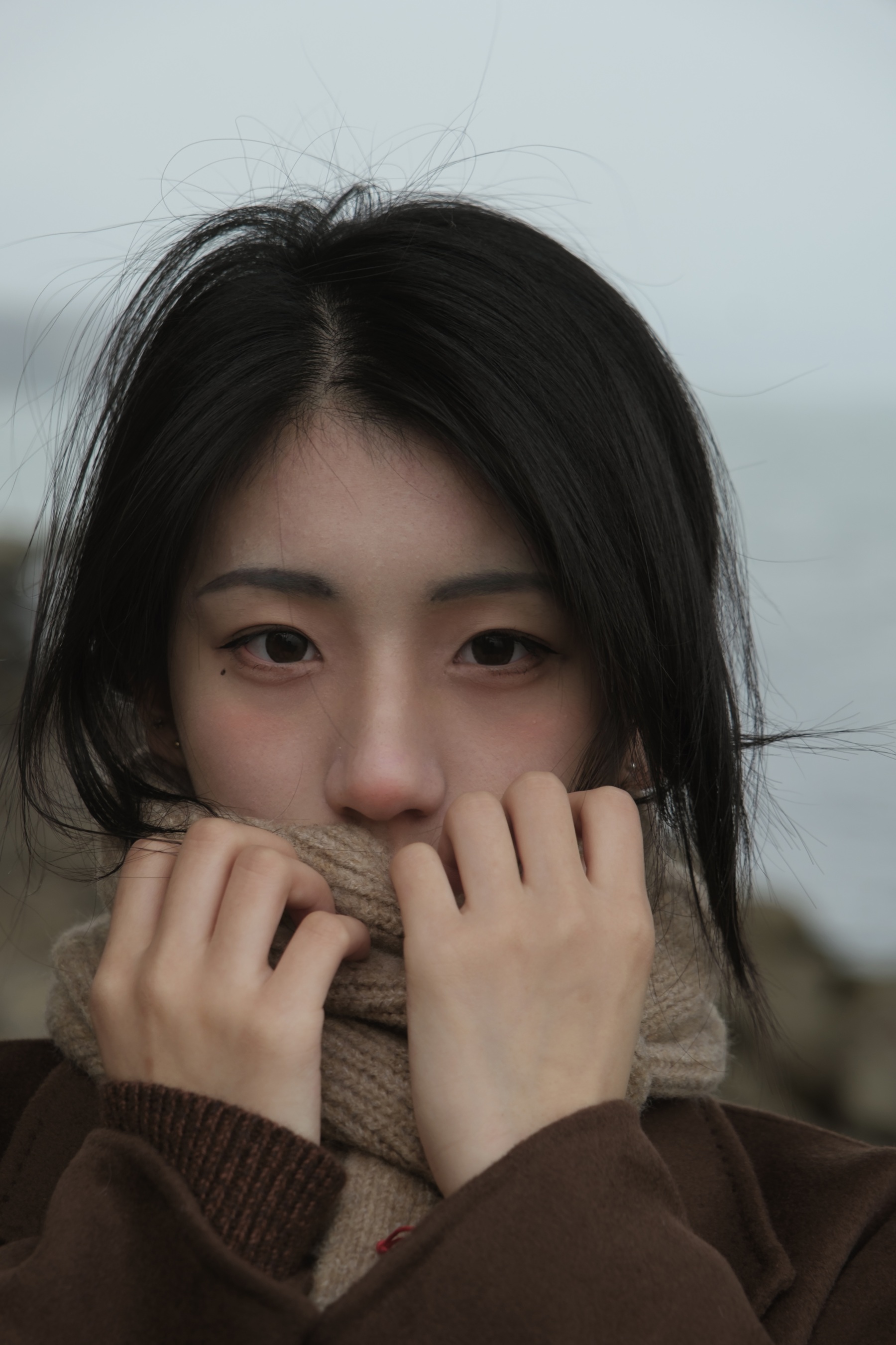 冬日来信 鲨鲨帅帅鱼