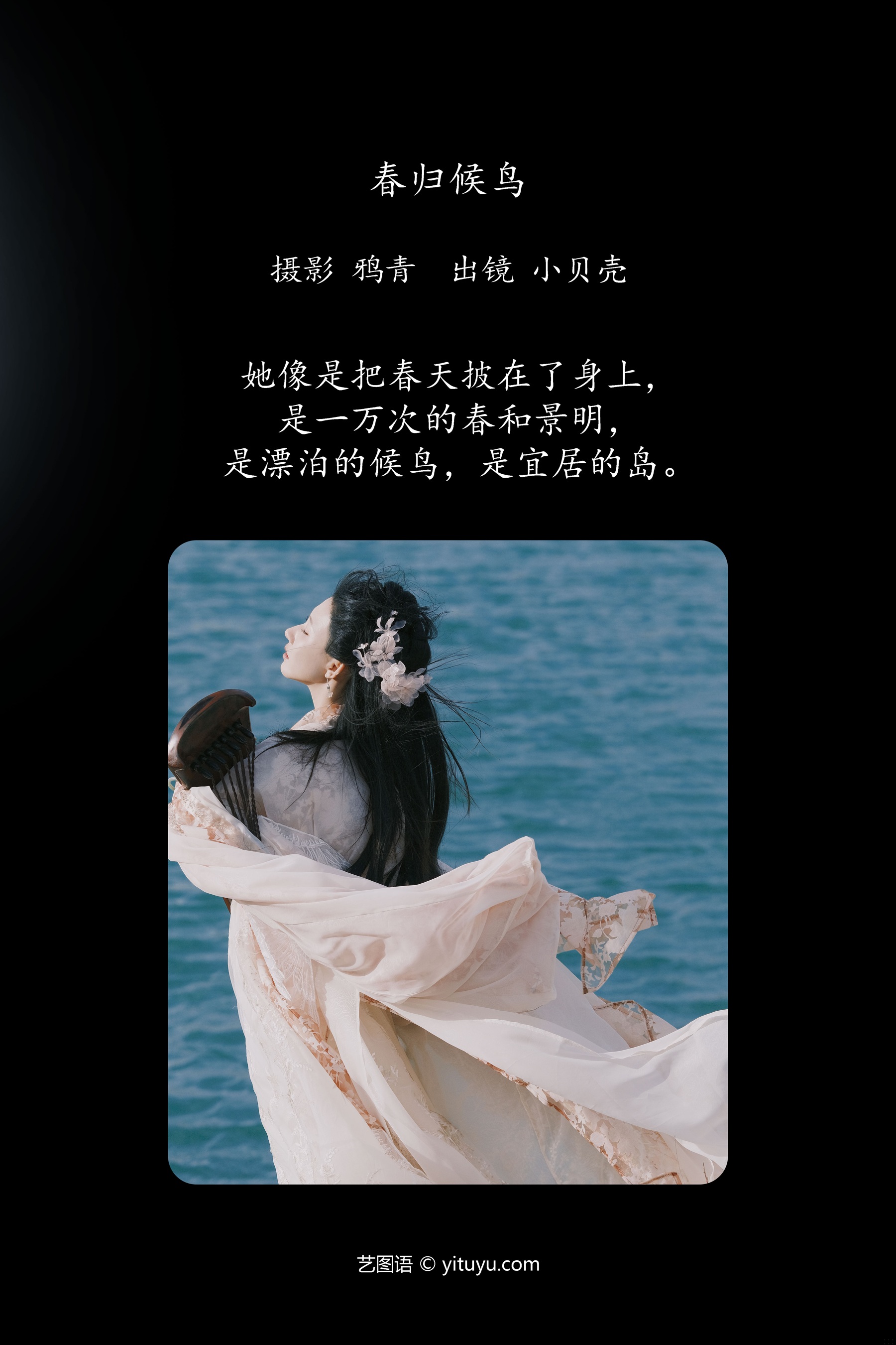 春归候鸟 小贝壳请不要放弃