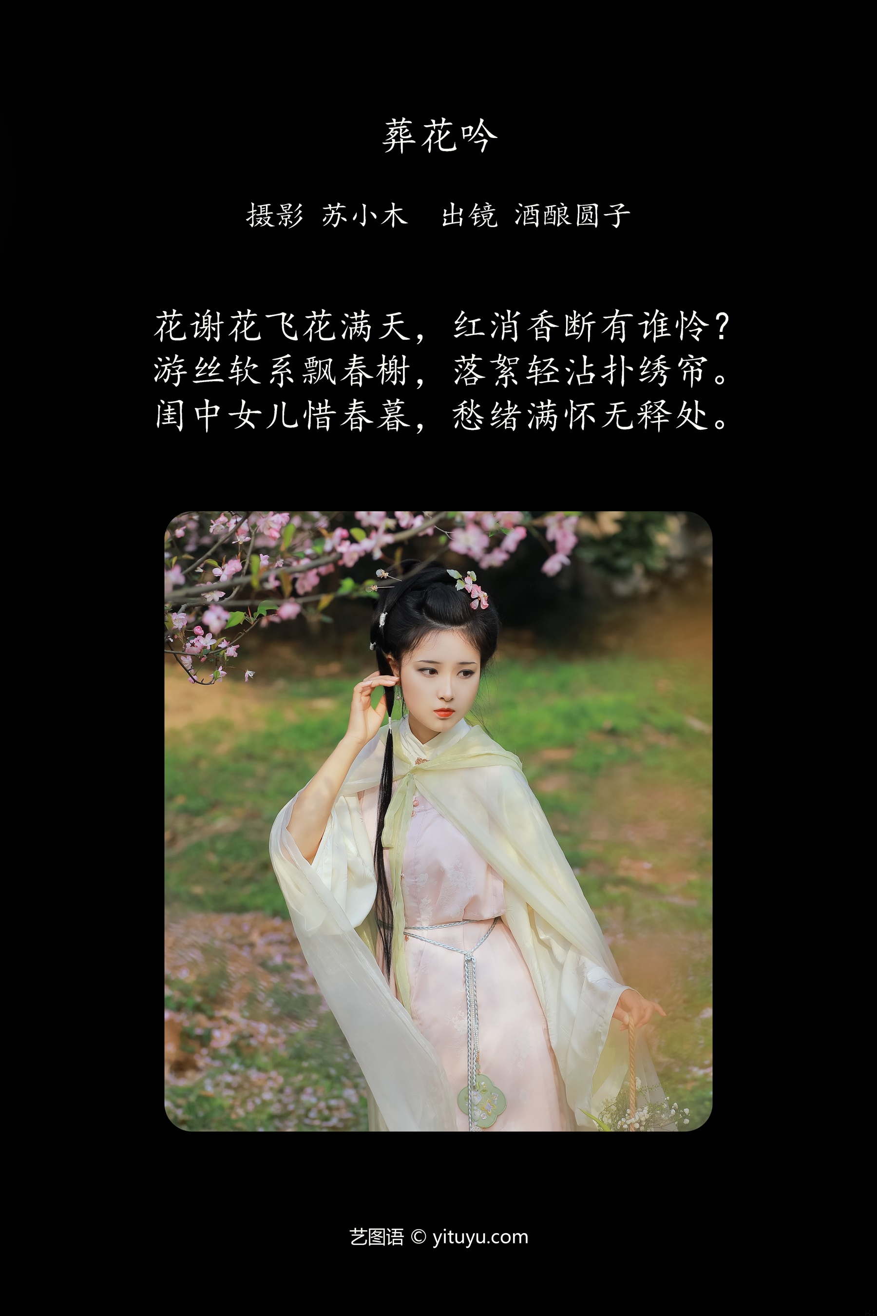 葬花吟 酒酿圆子
