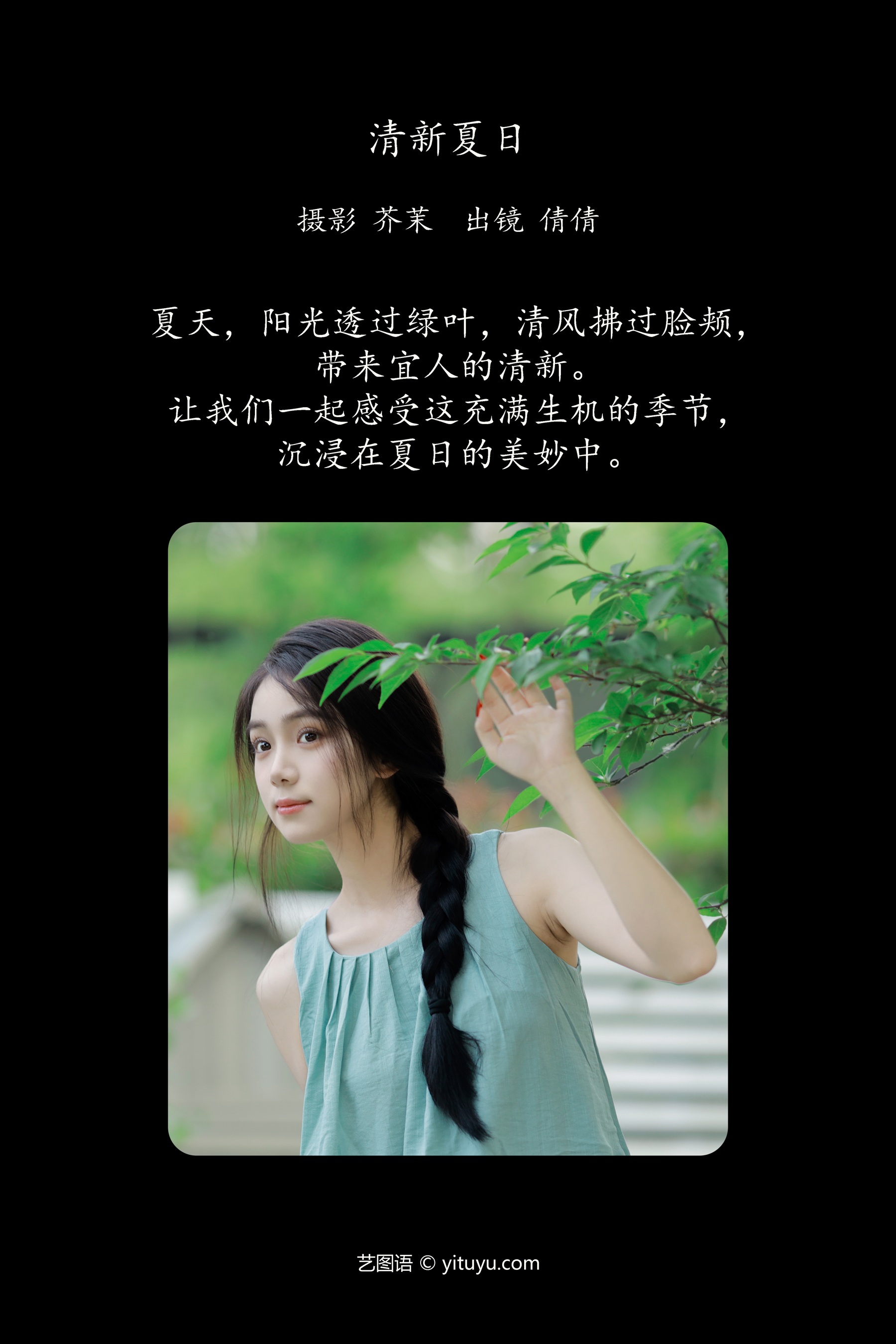 清新夏日 我不刷鸟