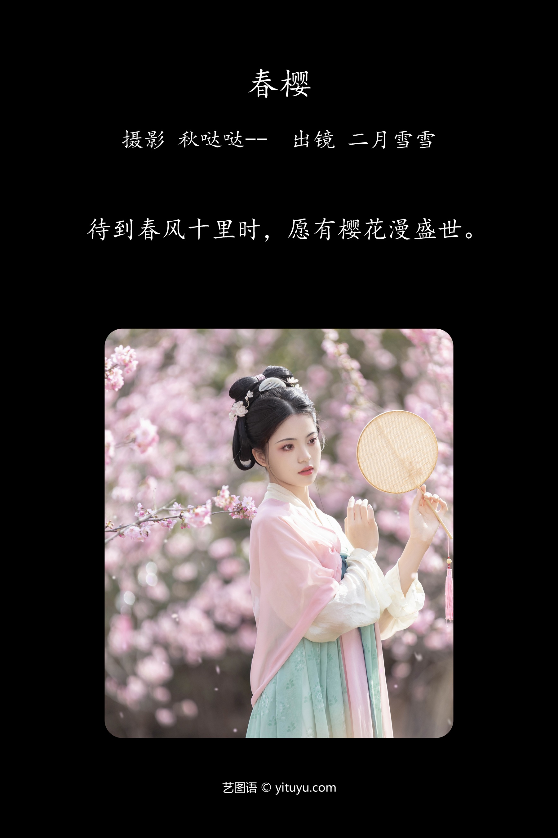 春樱 二月雪雪