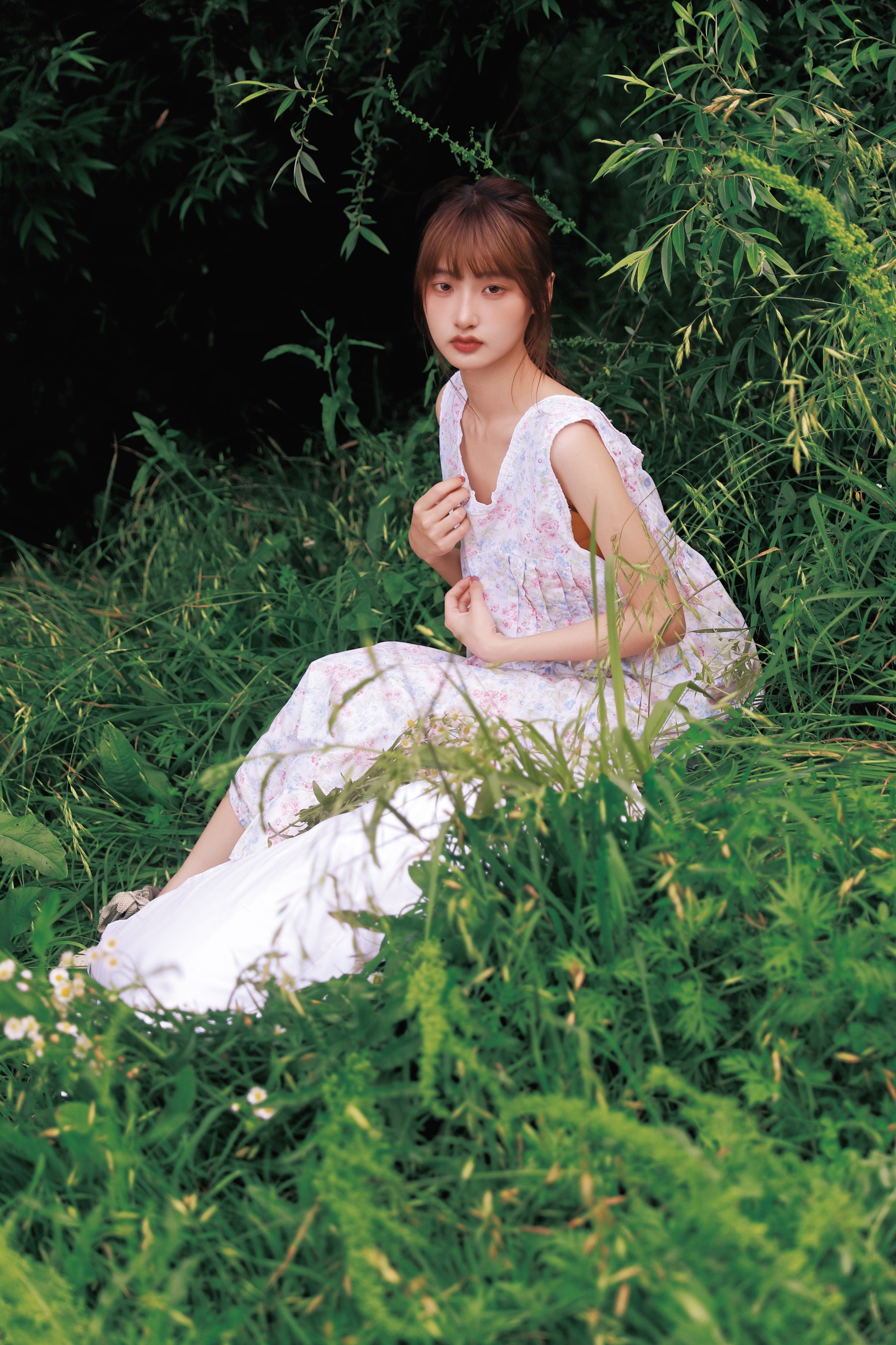 格桑花女孩 陈年小九