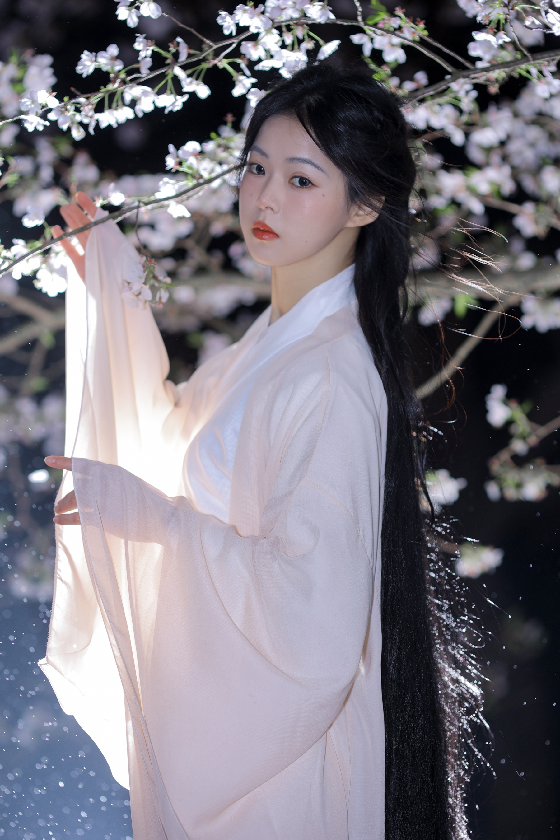 夜樱 小羊