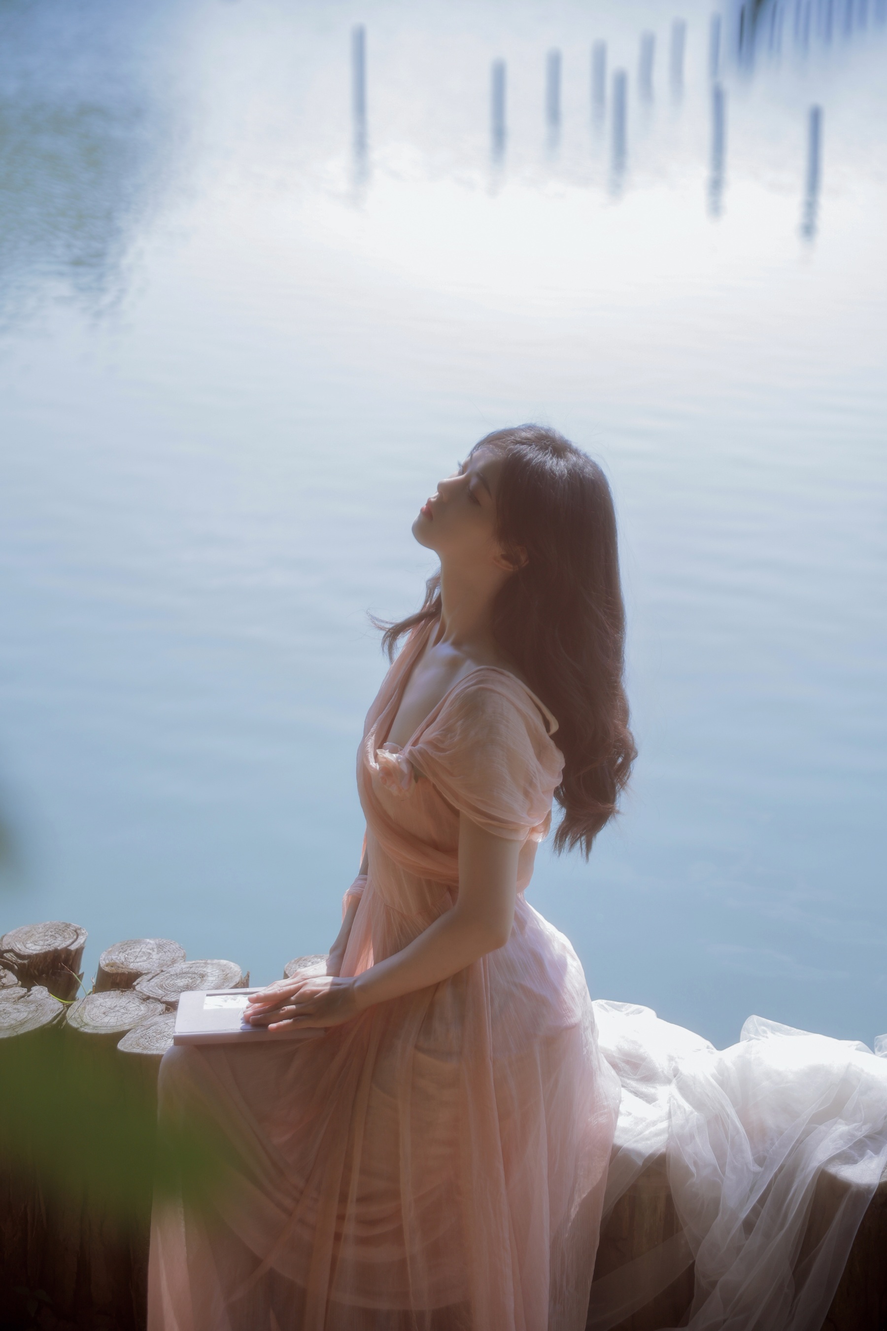 绯夏 小羊