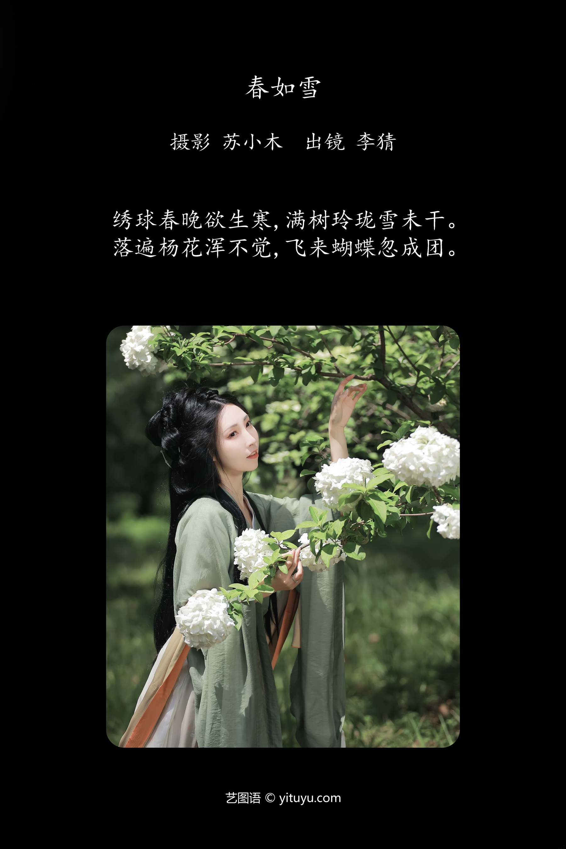 春如雪 李猜