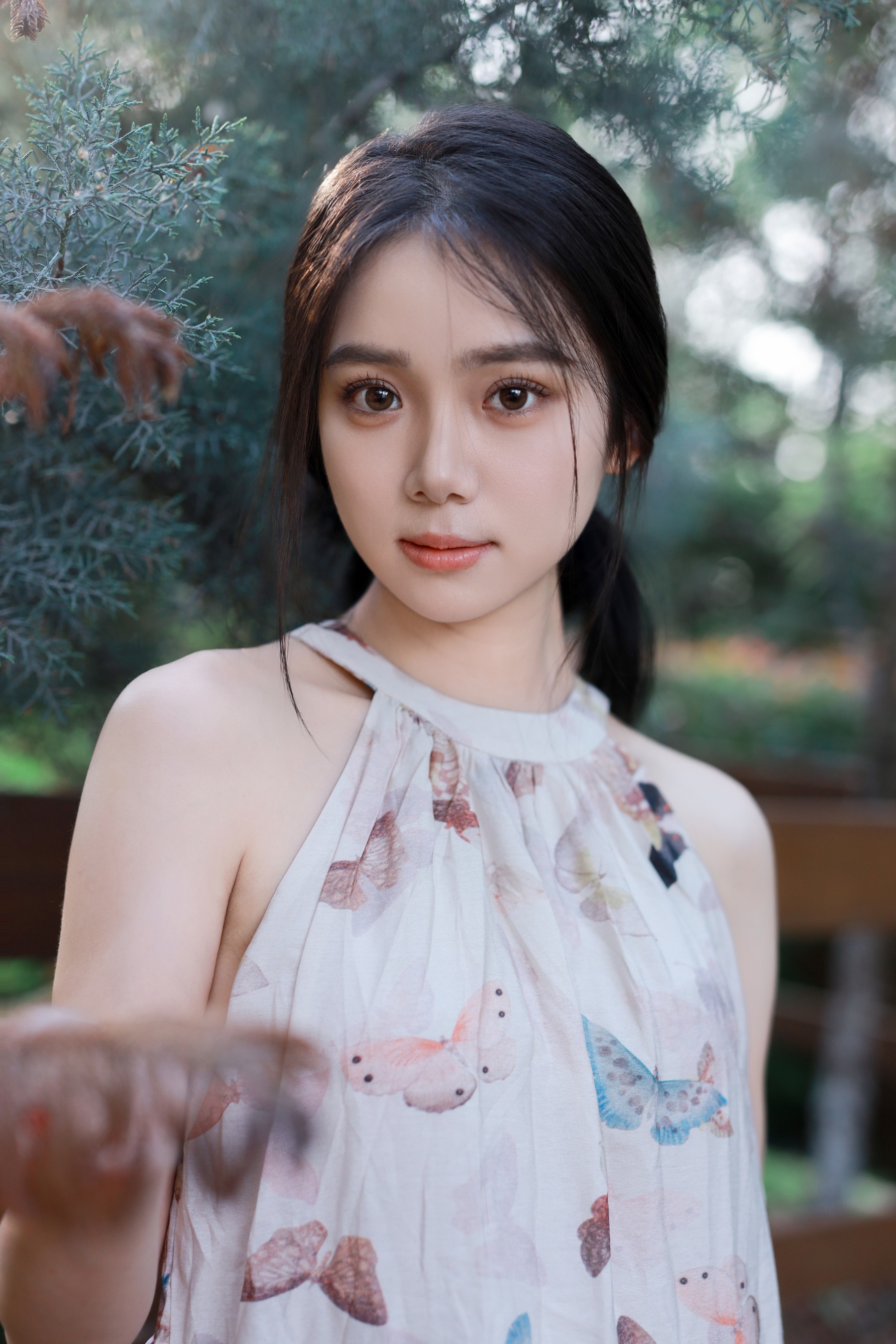 逆光蝴蝶仙子 我不刷鸟
