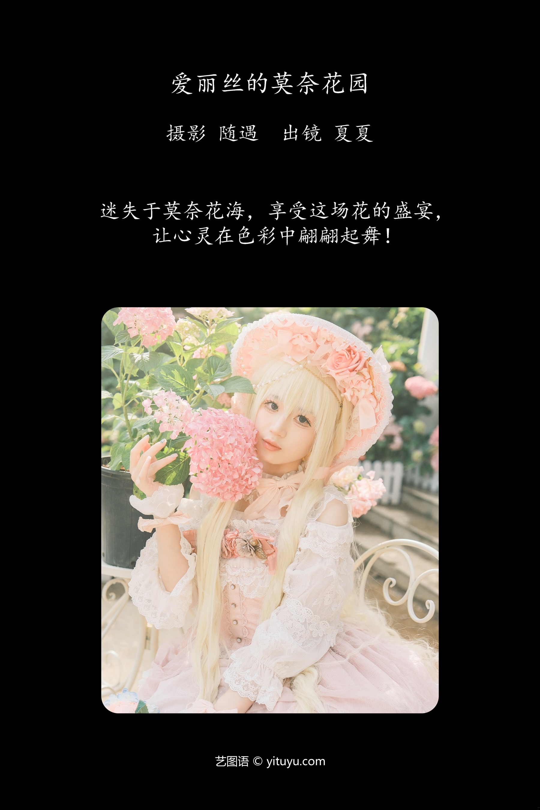 爱丽丝的莫奈花园 夏夏