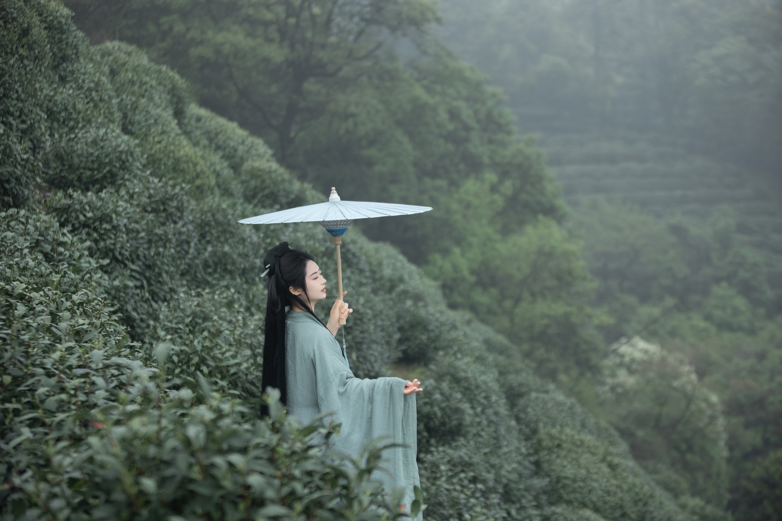 明前绿 慕夏