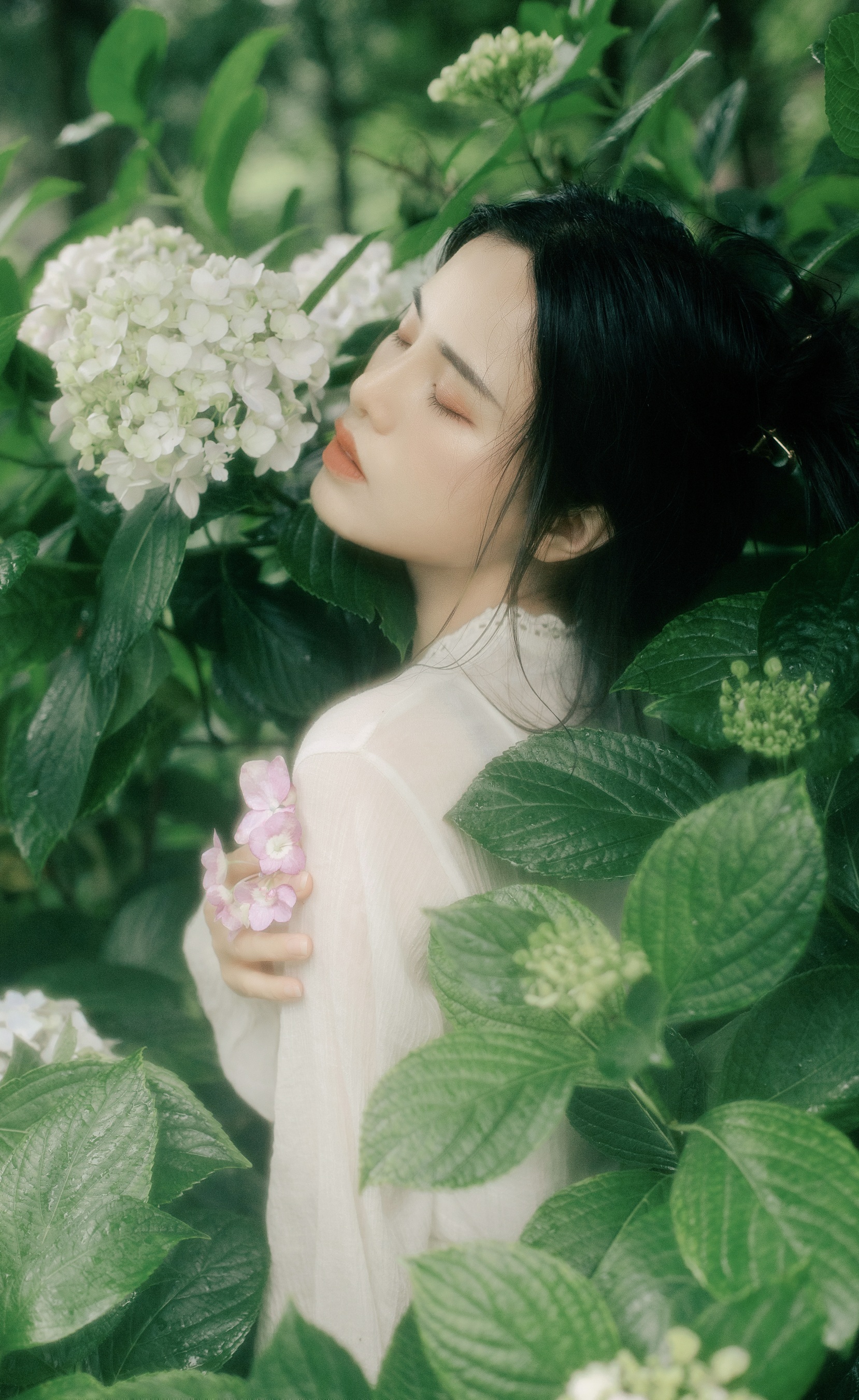 花开半夏 安妮