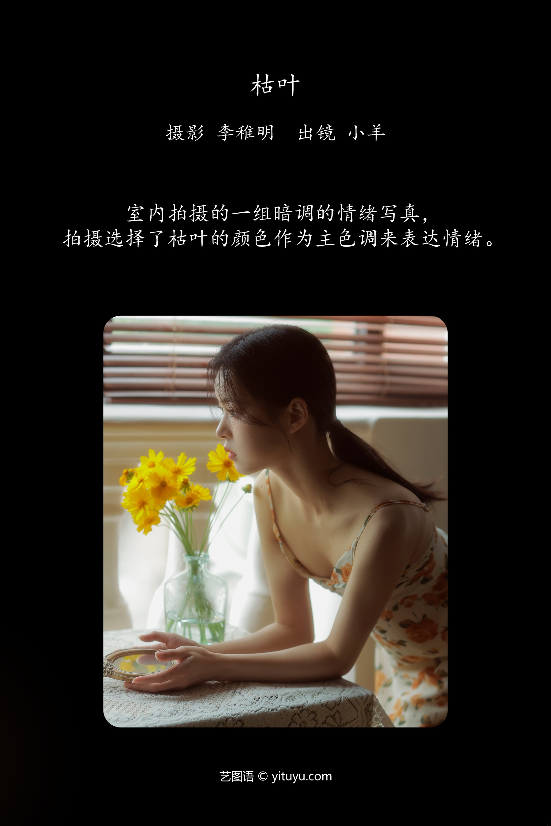 枯叶 小羊