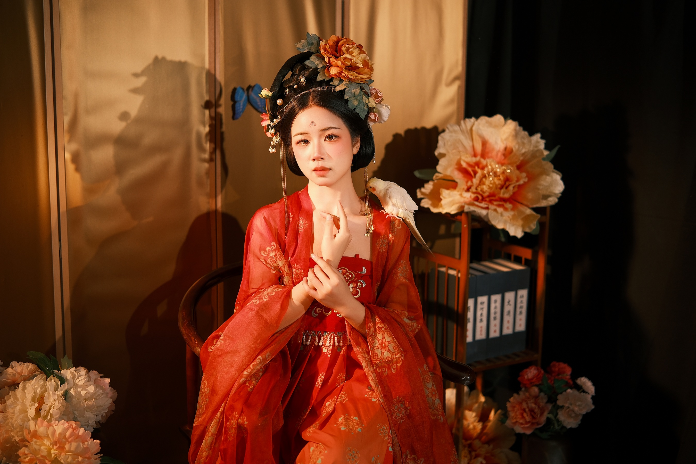 牡丹歌 小杜同学