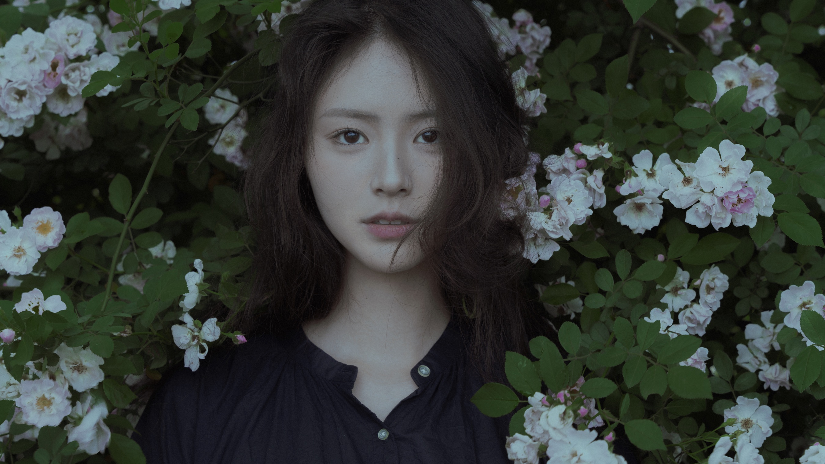 随花 77