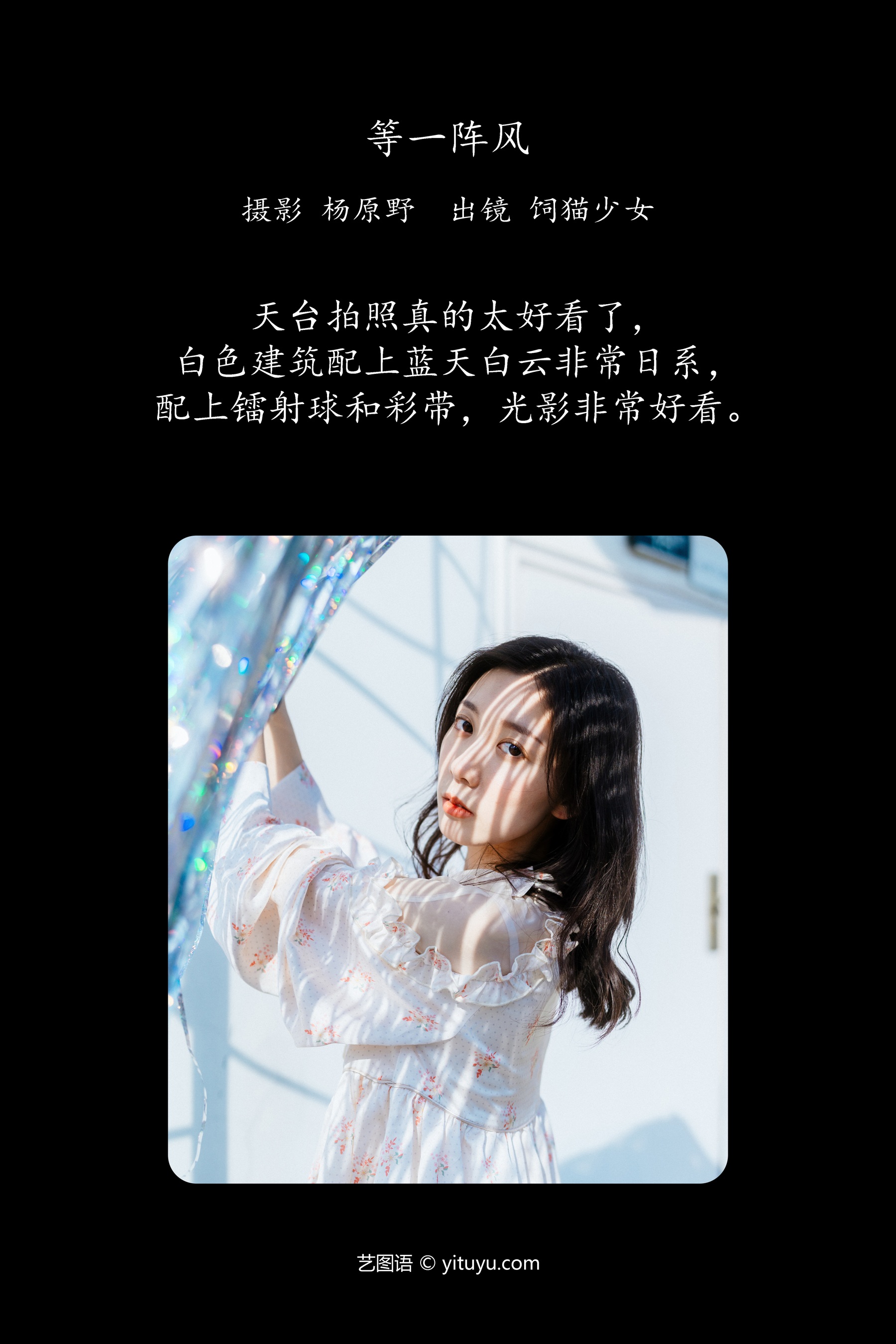 等一阵风 饲猫少女-
