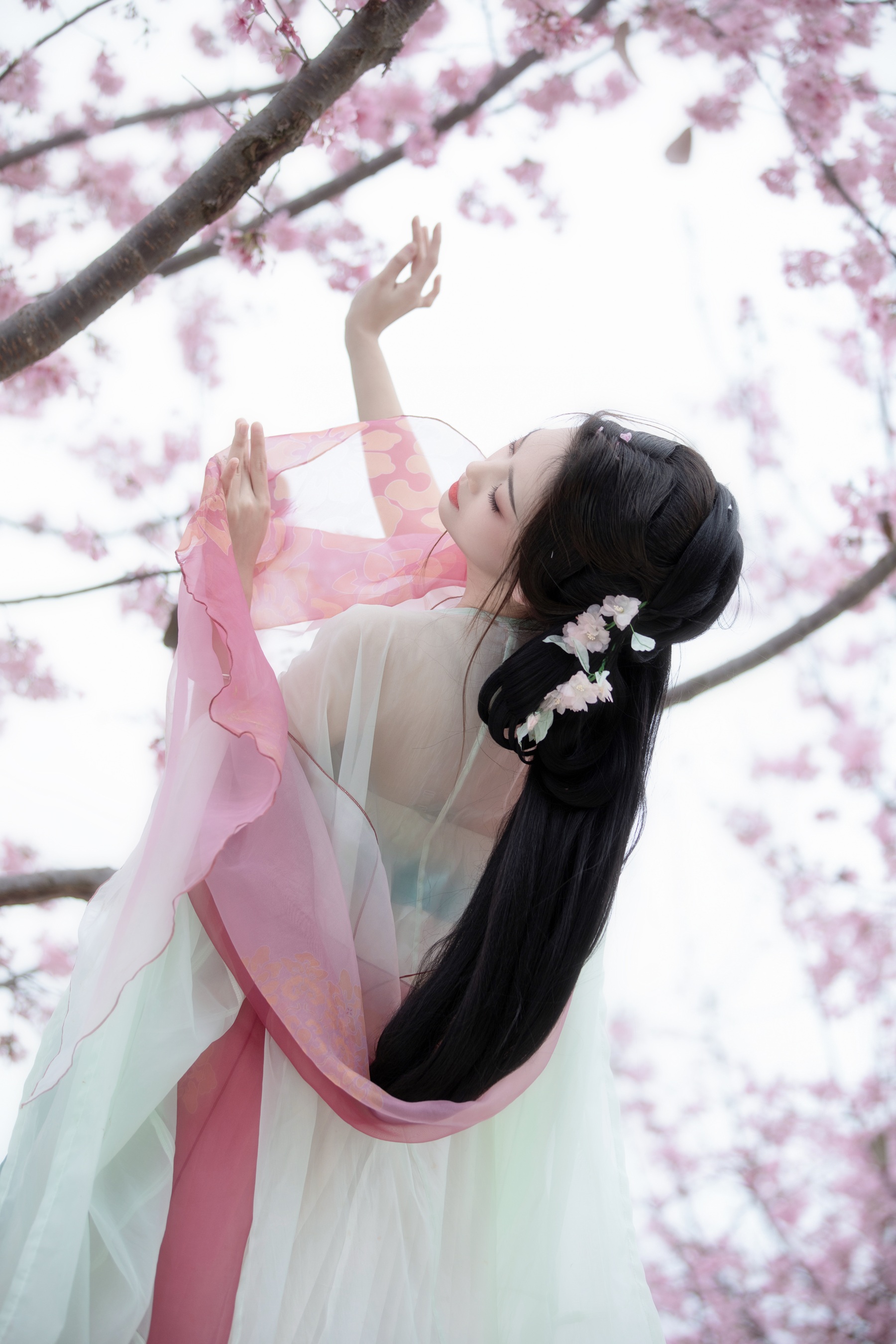 阳春曲 芝芝琪
