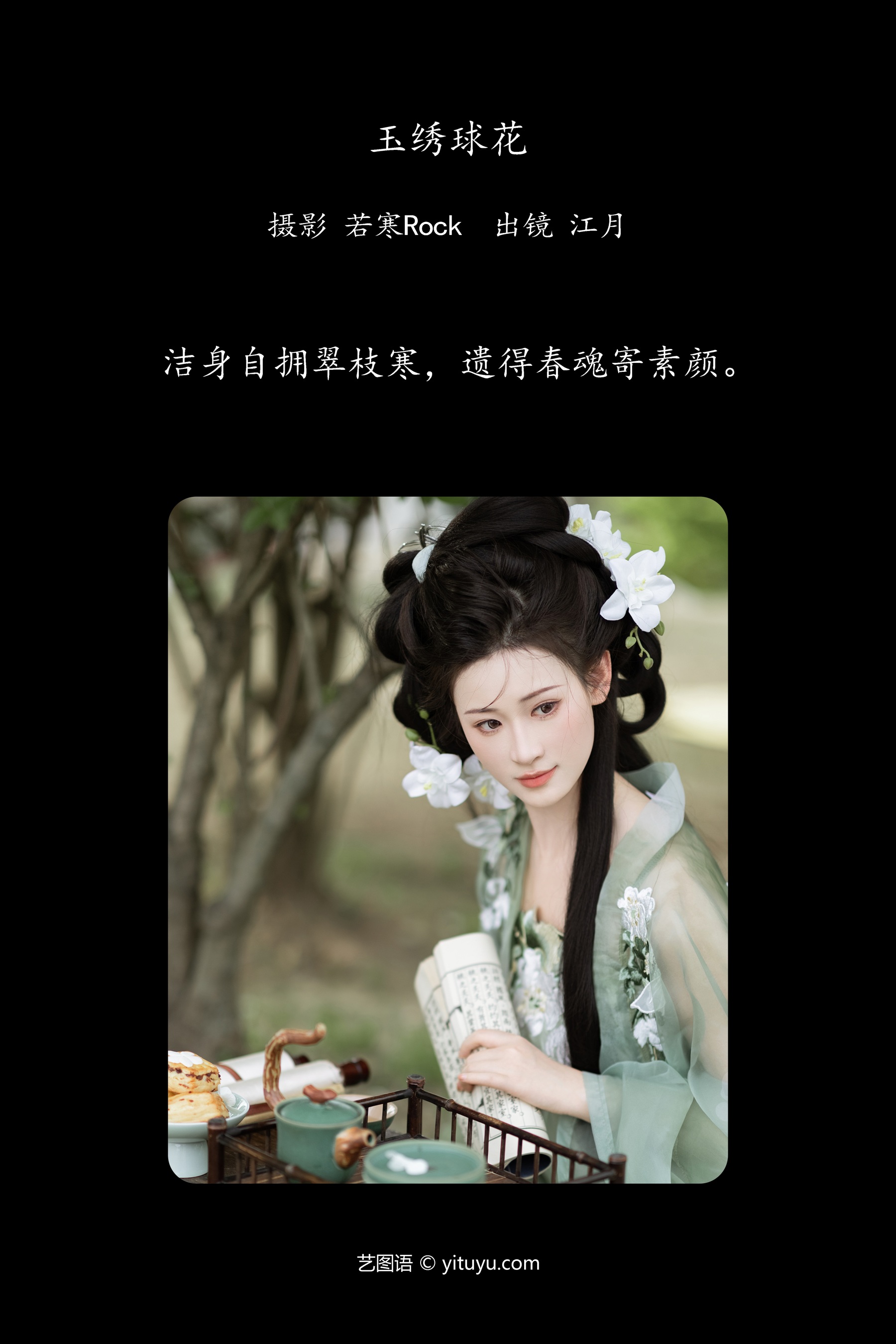 玉绣球花 江月月月