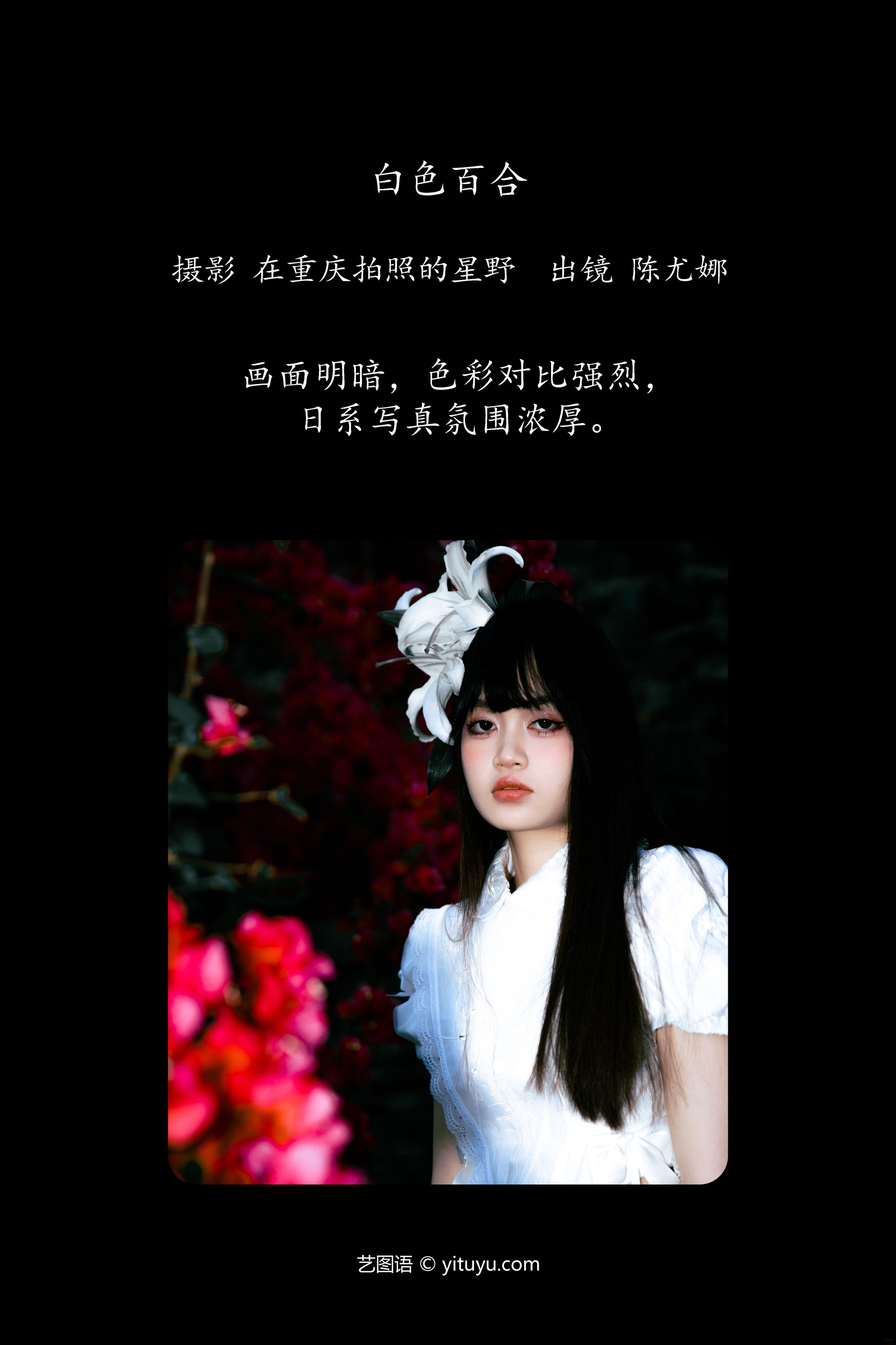 白色百合 陈尤娜