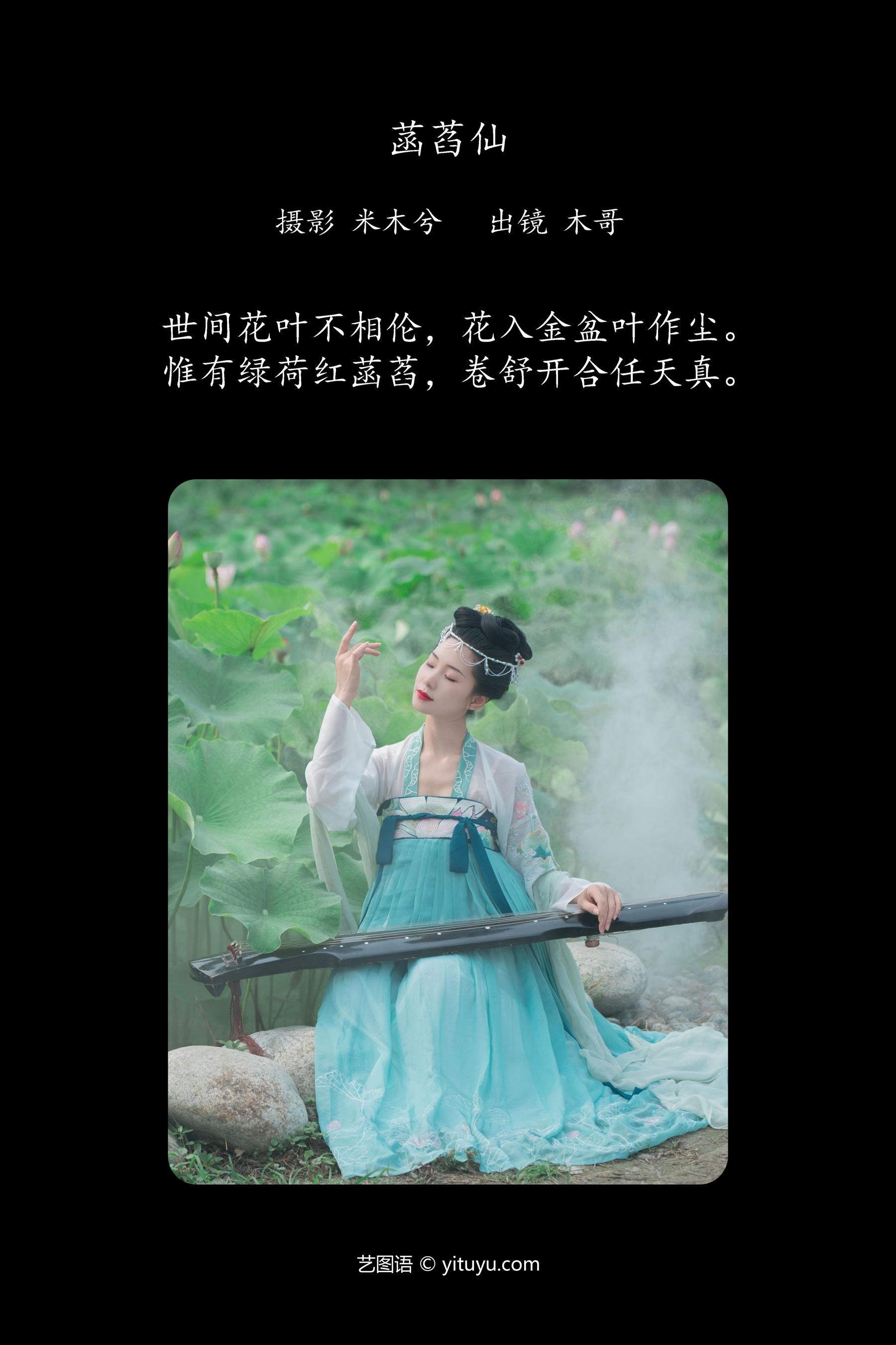 菡萏仙 木哥