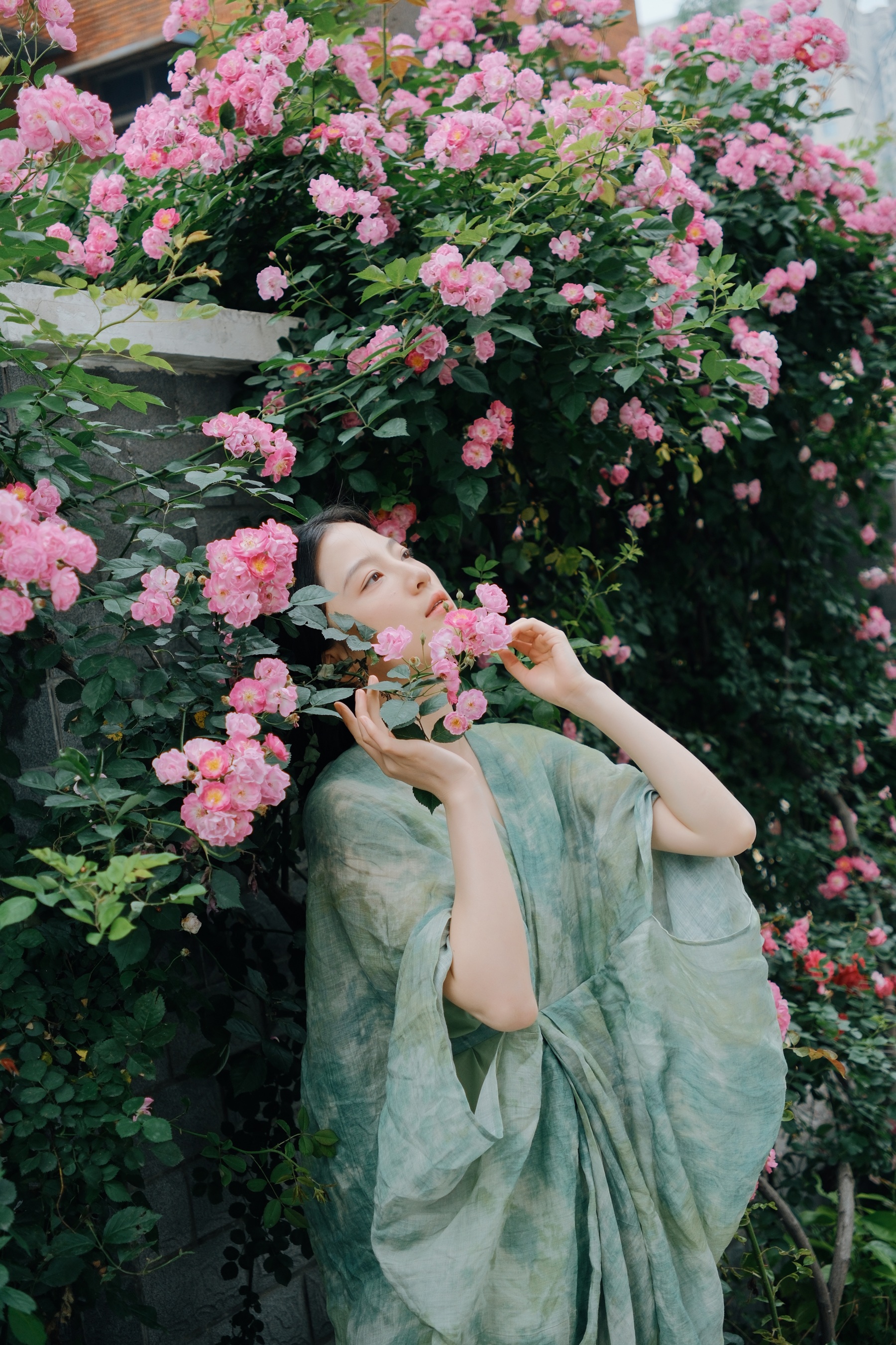 记忆是无花的蔷薇 苗苗