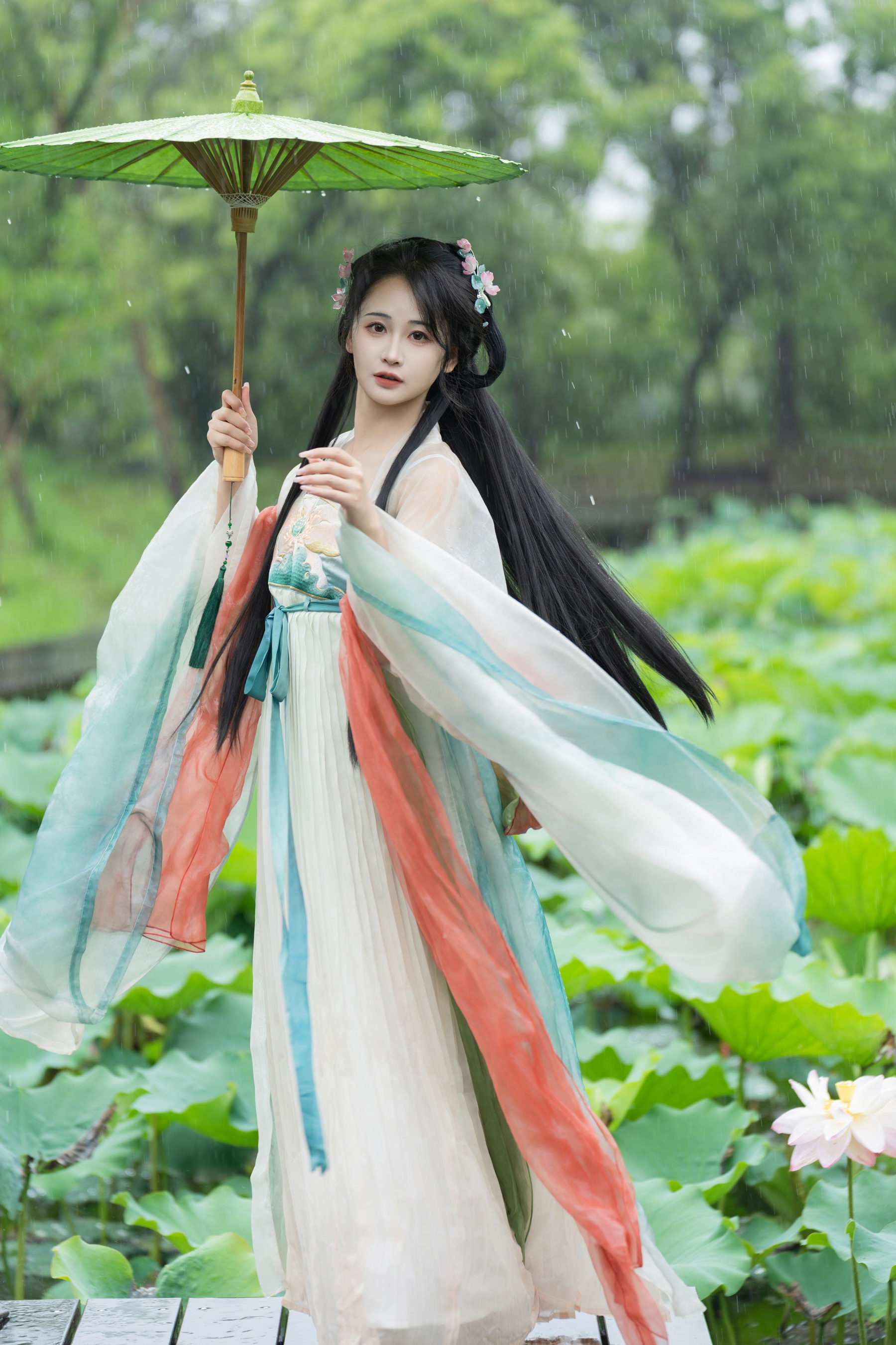 雨中荷花 湫一只岁岁