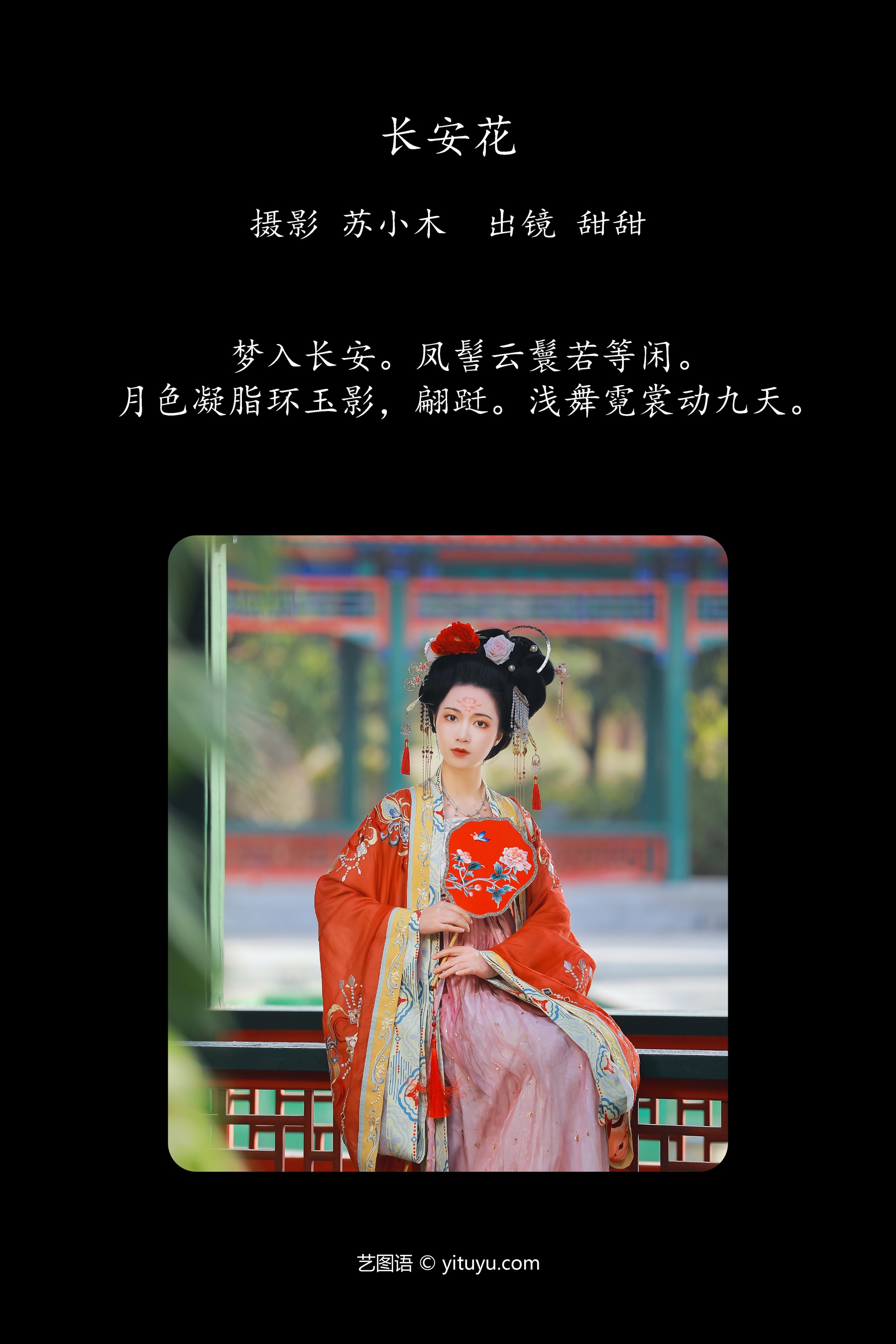 长安花 甜甜