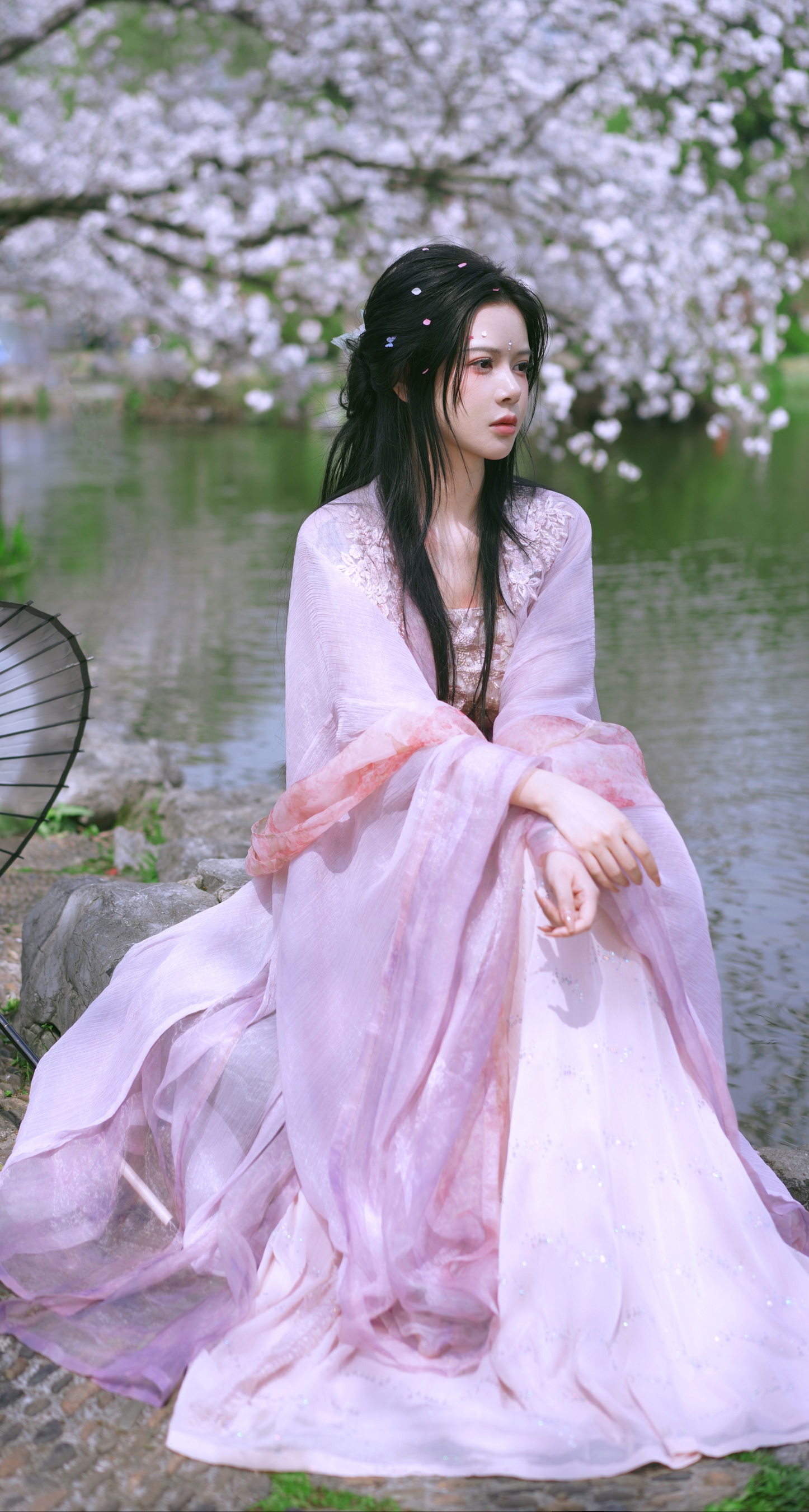 樱花季 曦曦
