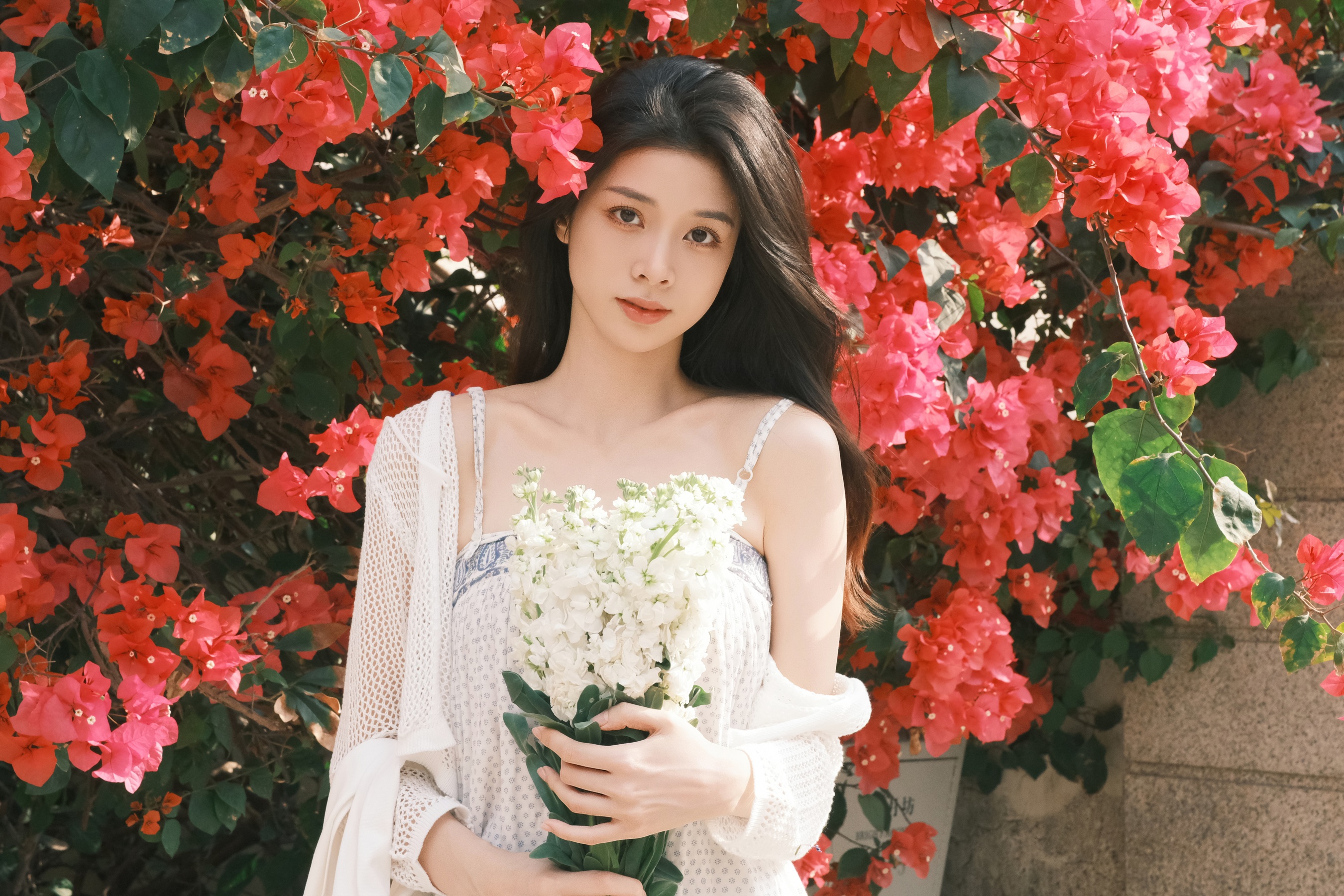 与花诉说 关于春天的故事 板板酱