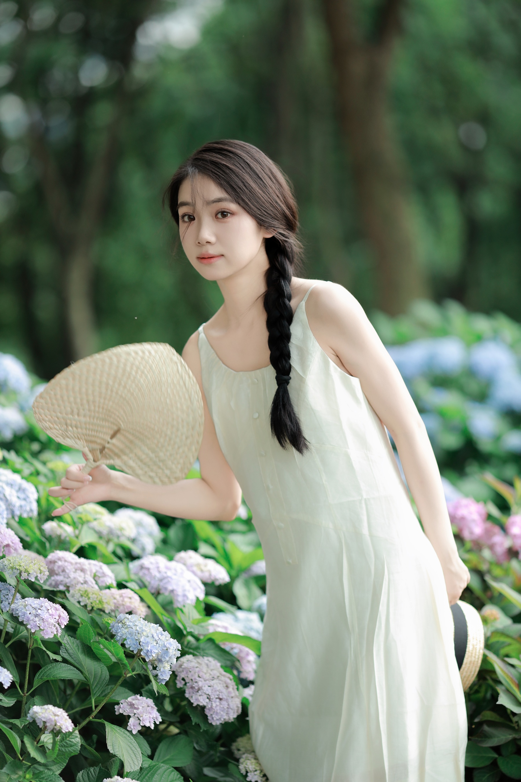 绣球花的春天 我不刷鸟