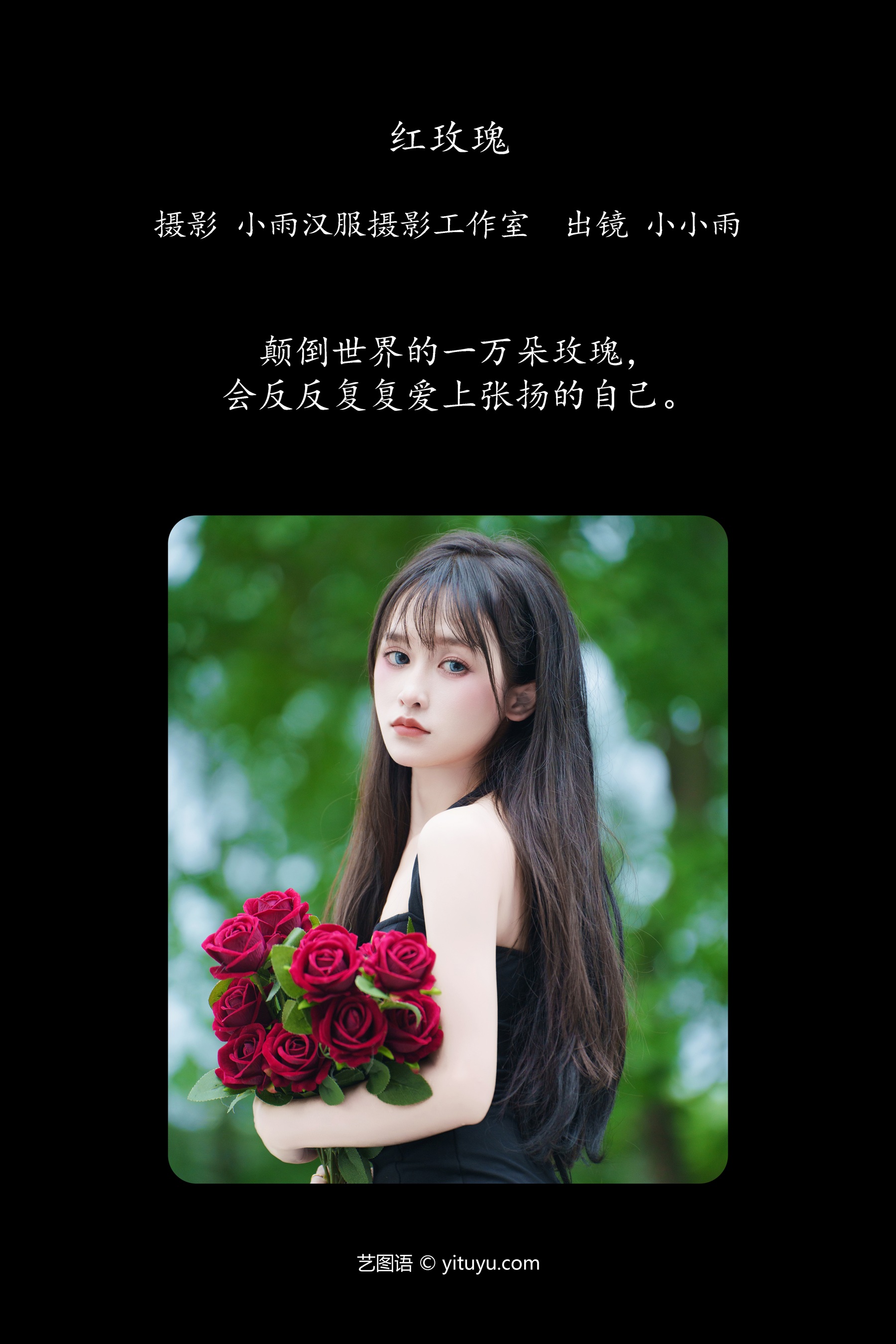 红玫瑰 小小雨