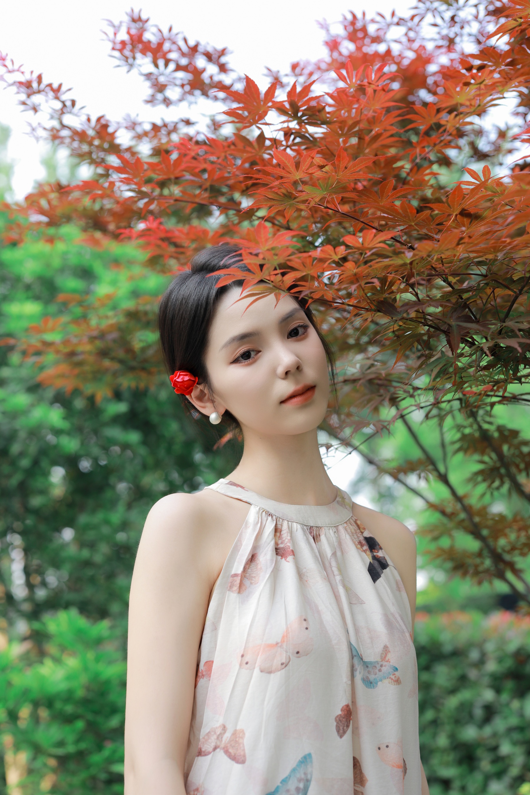 玫瑰园的蝴蝶仙子 小濛