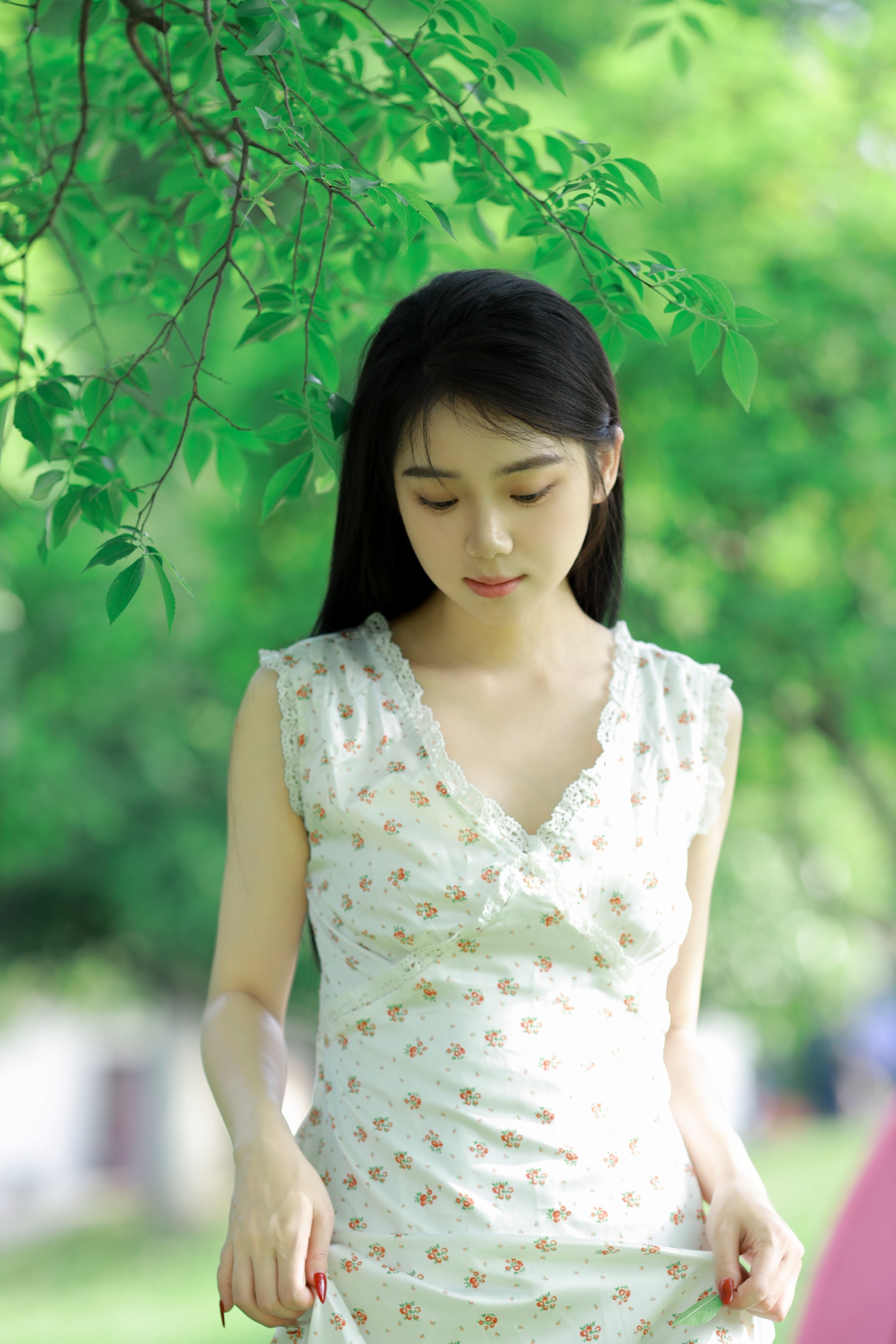 林间绿影 我不刷鸟