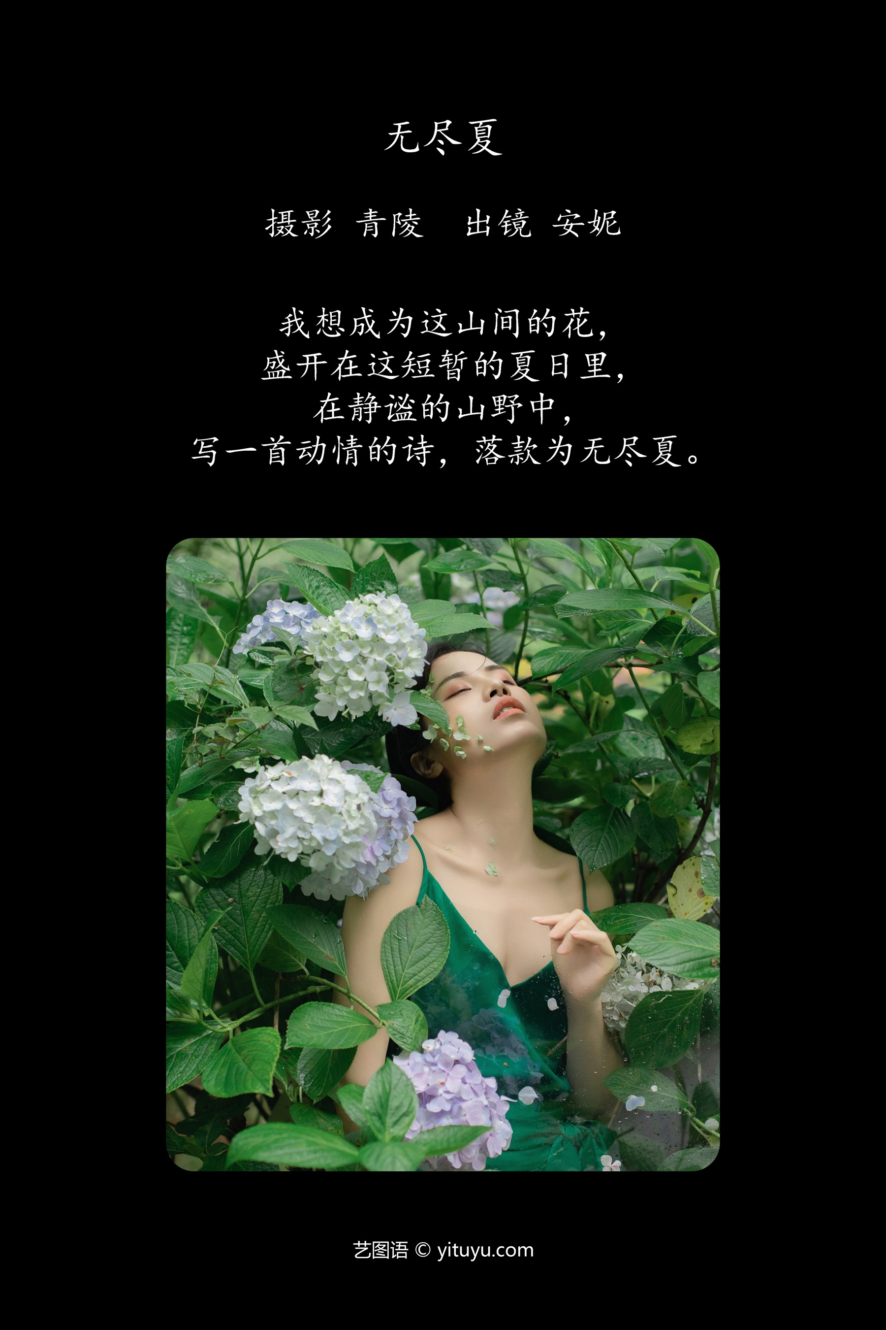 无尽夏 安妮