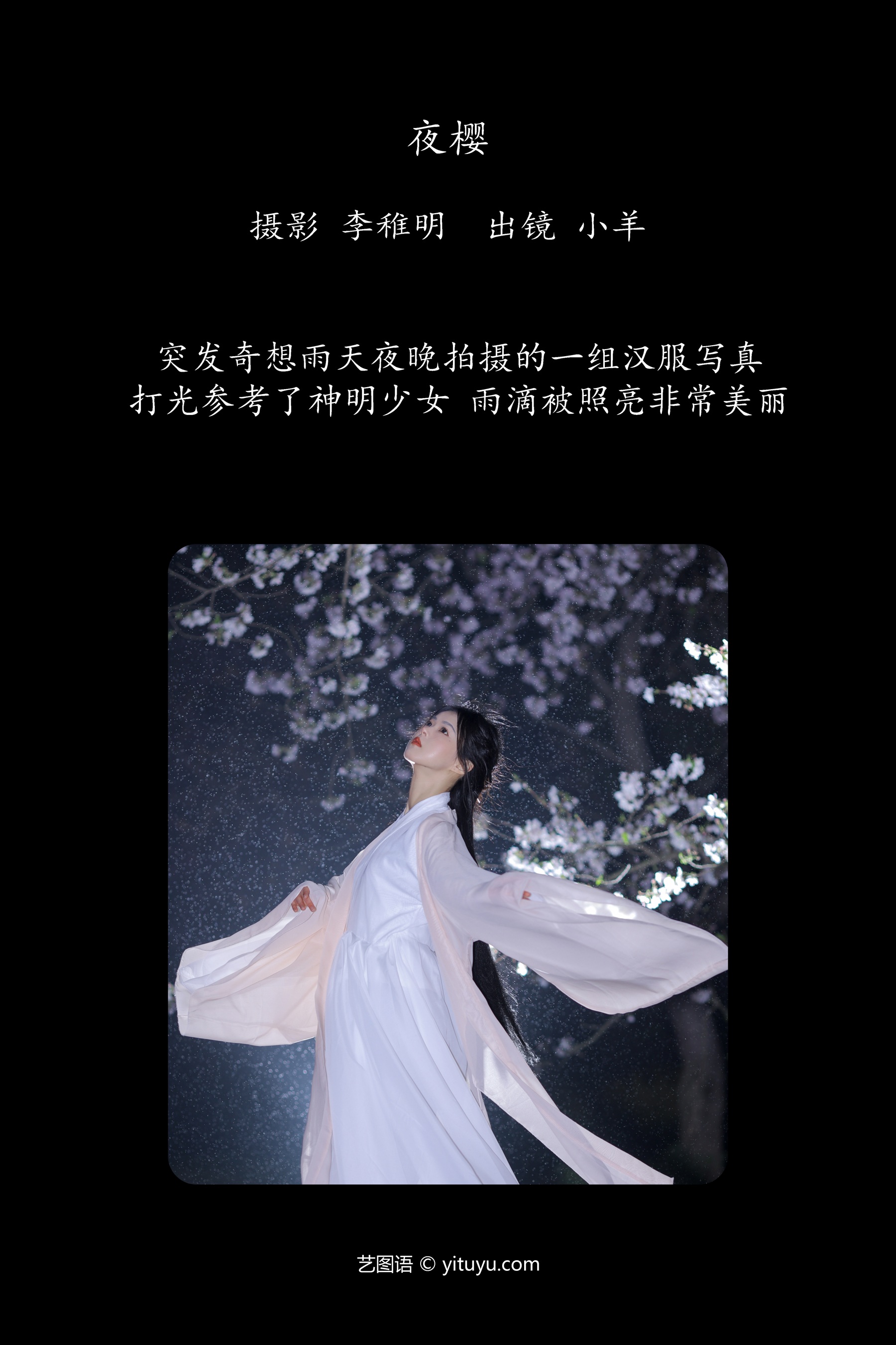 夜樱 小羊