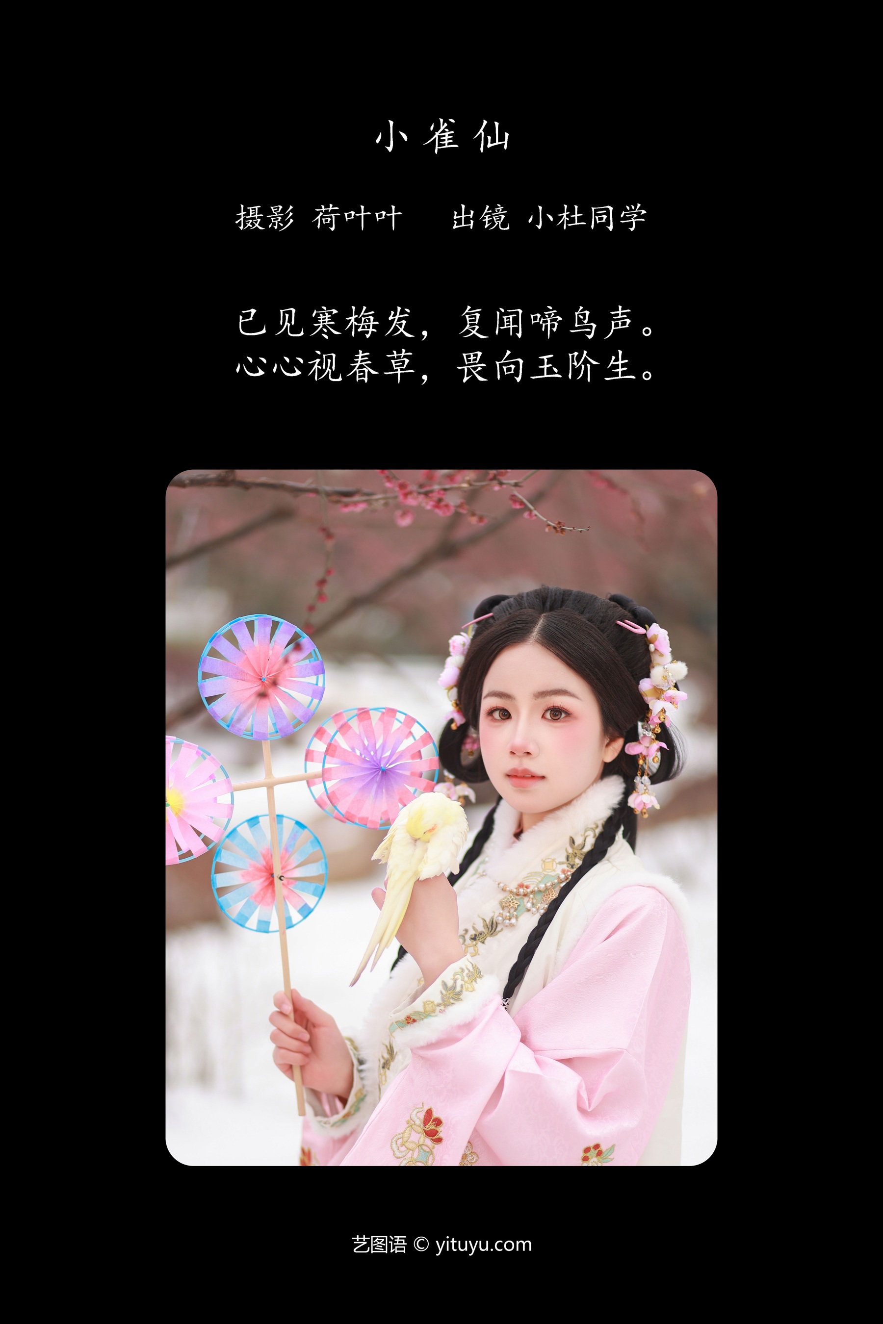 小雀仙 小杜同学
