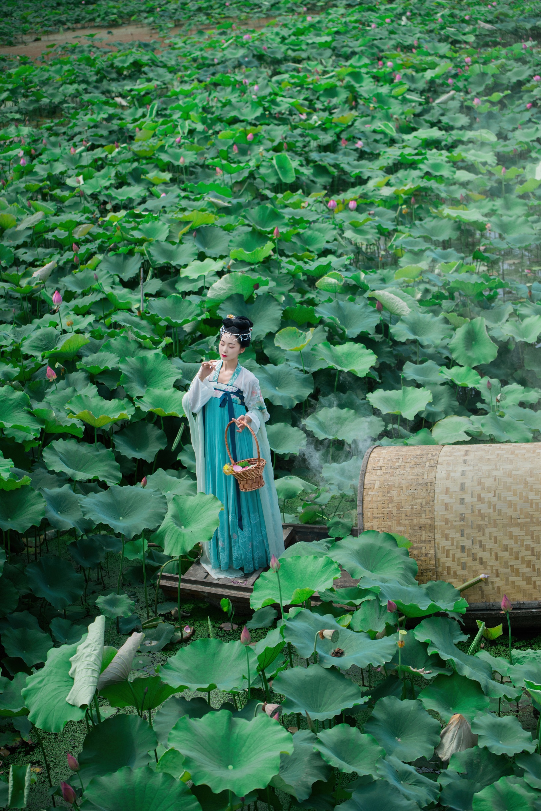 菡萏仙 木哥